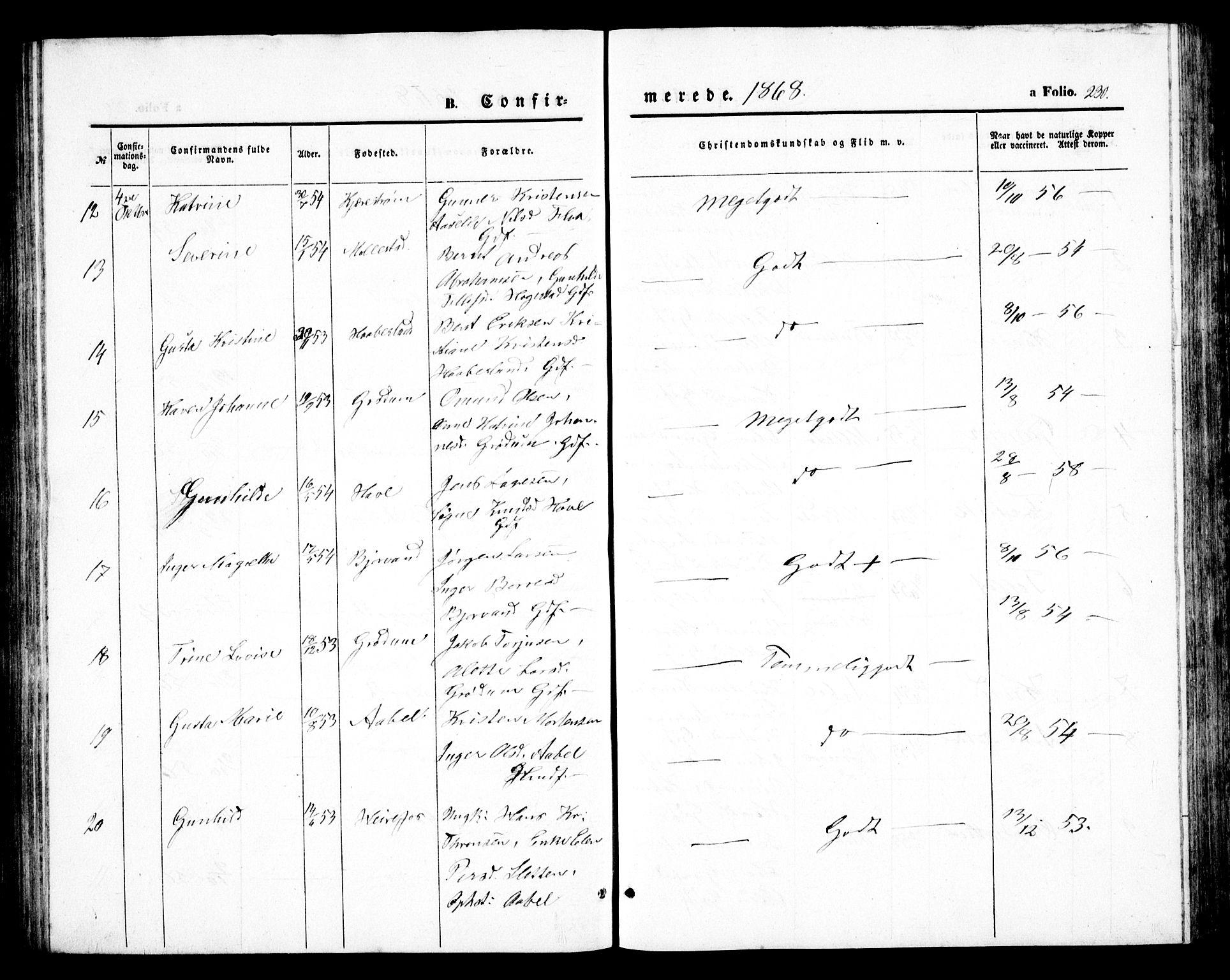 Birkenes sokneprestkontor, AV/SAK-1111-0004/F/Fb/L0002: Parish register (copy) no. B 2, 1849-1876, p. 230