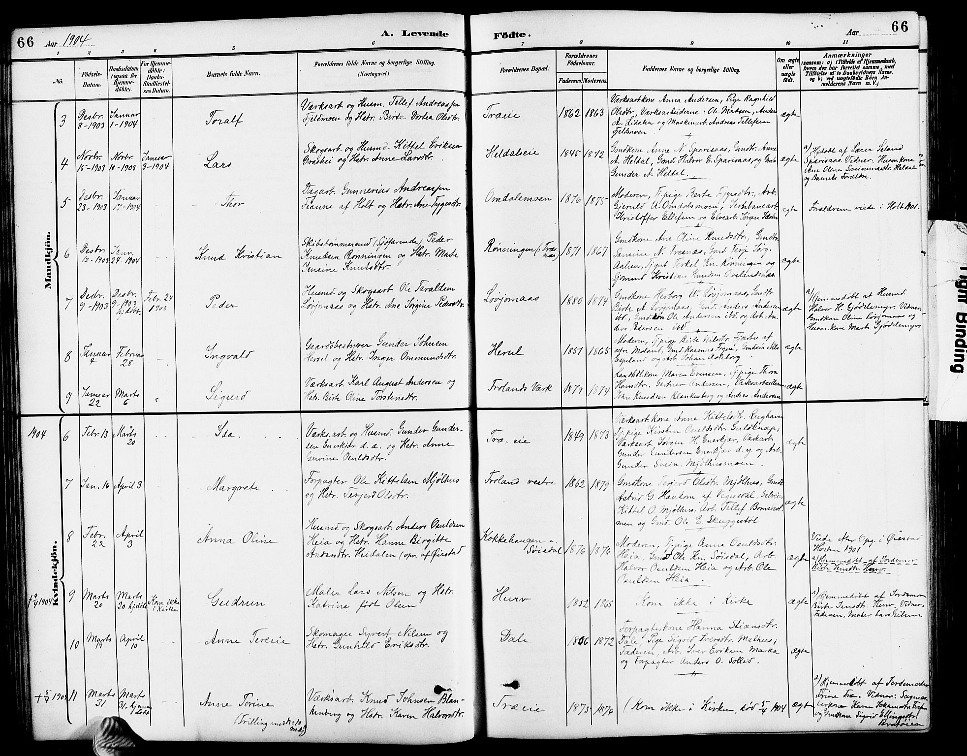 Froland sokneprestkontor, SAK/1111-0013/F/Fb/L0010: Parish register (copy) no. B 10, 1893-1920, p. 66