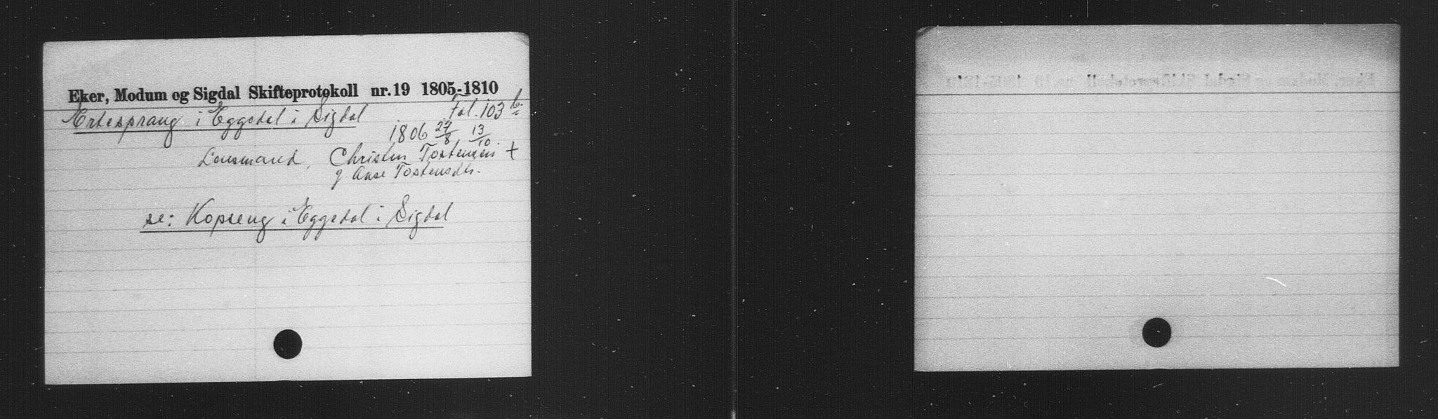 Eiker, Modum og Sigdal sorenskriveri, AV/SAKO-A-123/H, 1676-1828, p. 1028