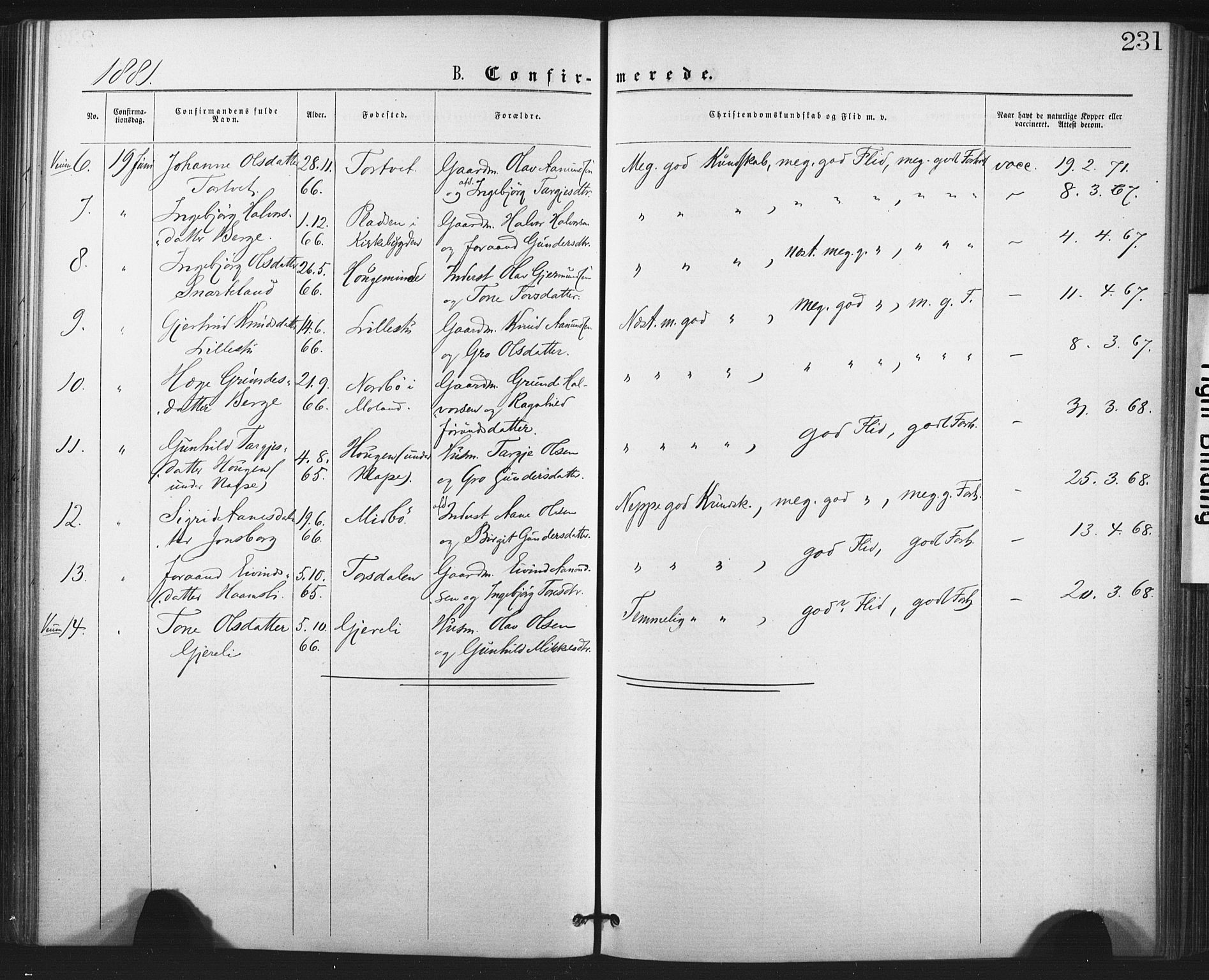 Fyresdal kirkebøker, SAKO/A-263/F/Fa/L0006: Parish register (official) no. I 6, 1872-1886, p. 231