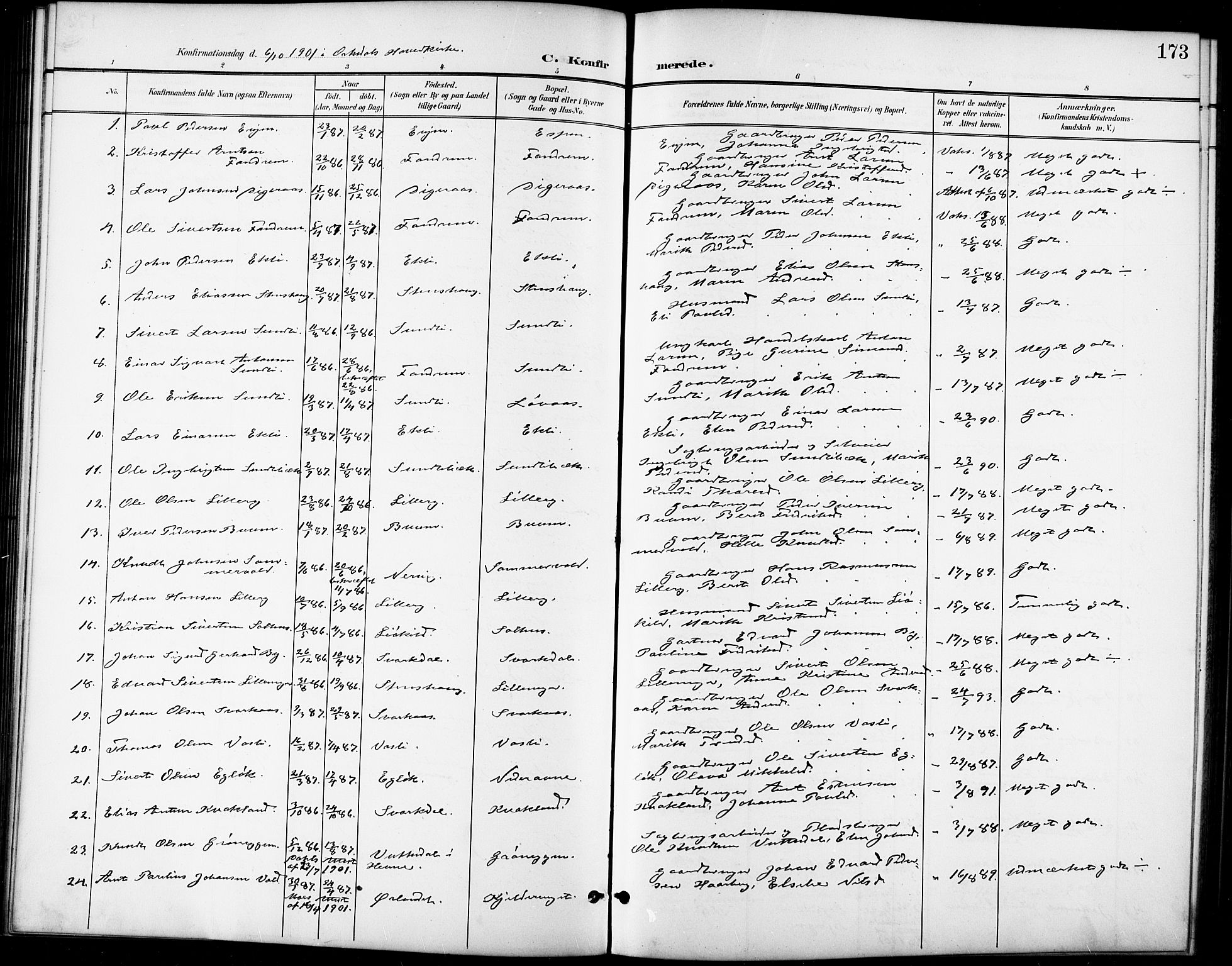 Ministerialprotokoller, klokkerbøker og fødselsregistre - Sør-Trøndelag, SAT/A-1456/668/L0819: Parish register (copy) no. 668C08, 1899-1912, p. 173