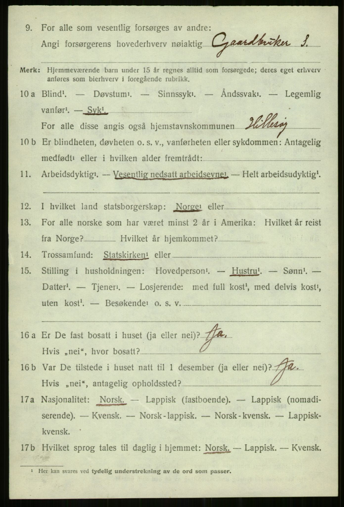 SATØ, 1920 census for Hillesøy, 1920, p. 1916