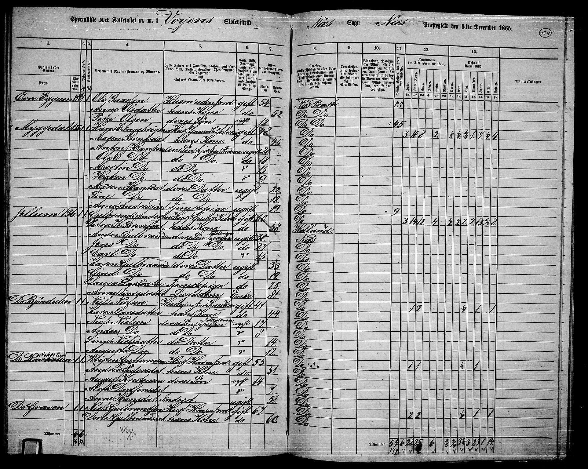 RA, 1865 census for Nes, 1865, p. 140