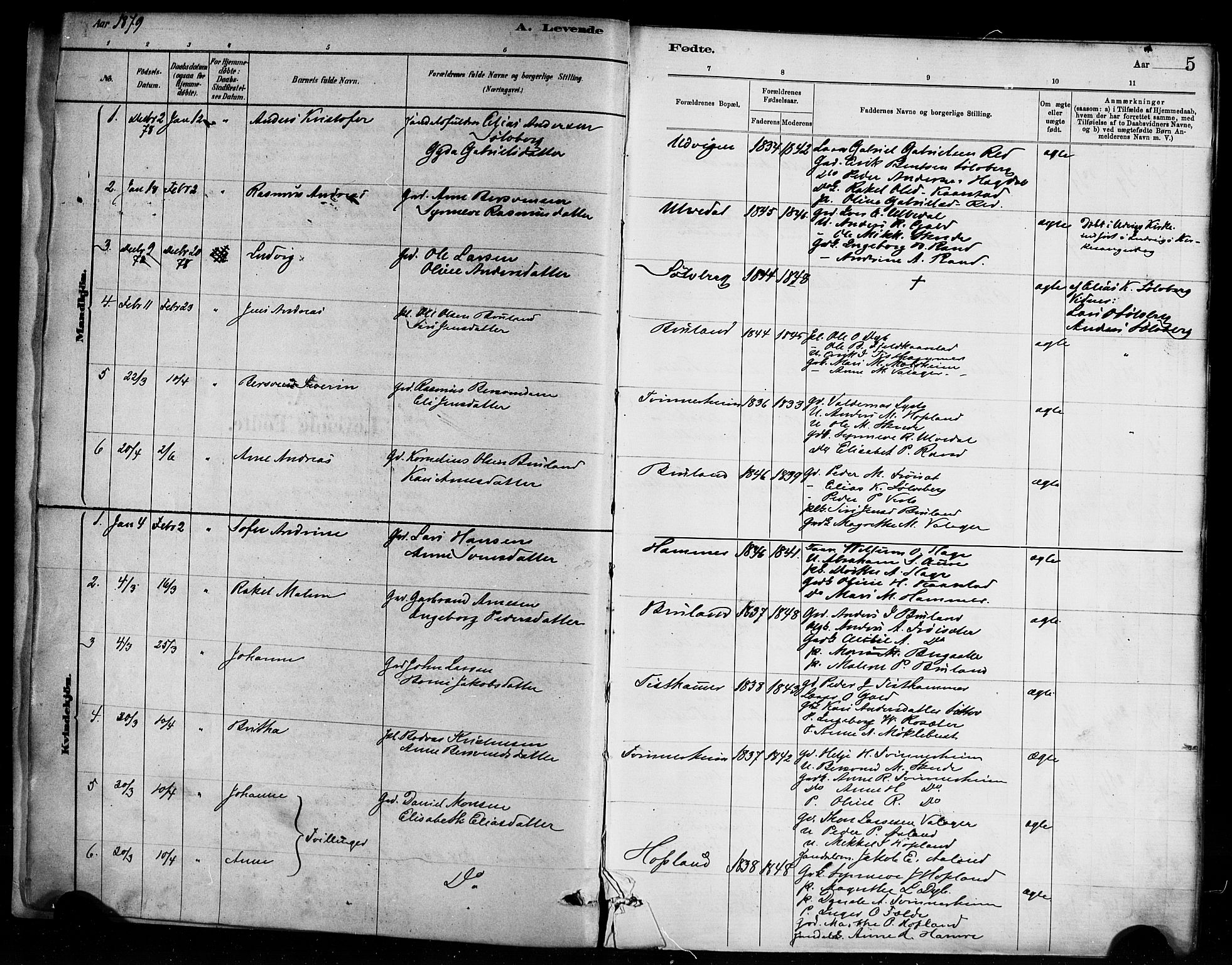 Innvik sokneprestembete, AV/SAB-A-80501: Parish register (official) no. D 1, 1879-1900, p. 5