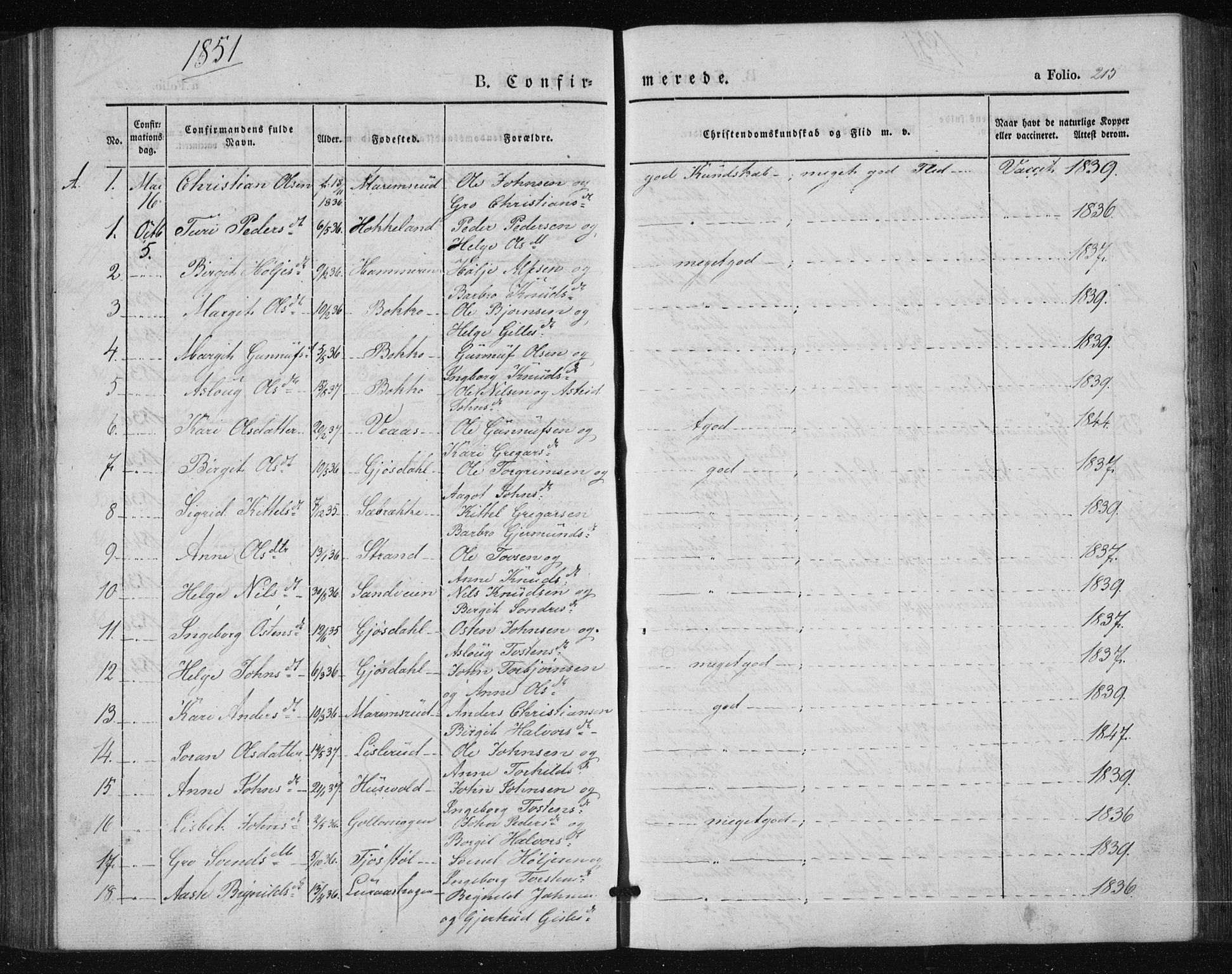 Tinn kirkebøker, SAKO/A-308/F/Fa/L0005: Parish register (official) no. I 5, 1844-1856, p. 215