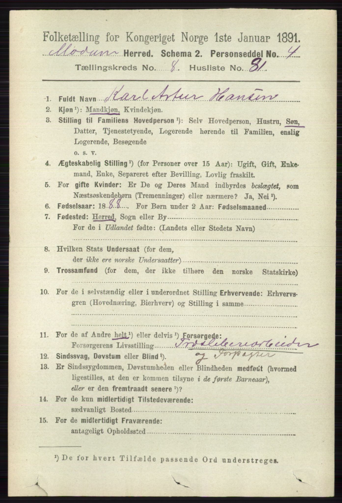 RA, 1891 census for 0623 Modum, 1891, p. 3353