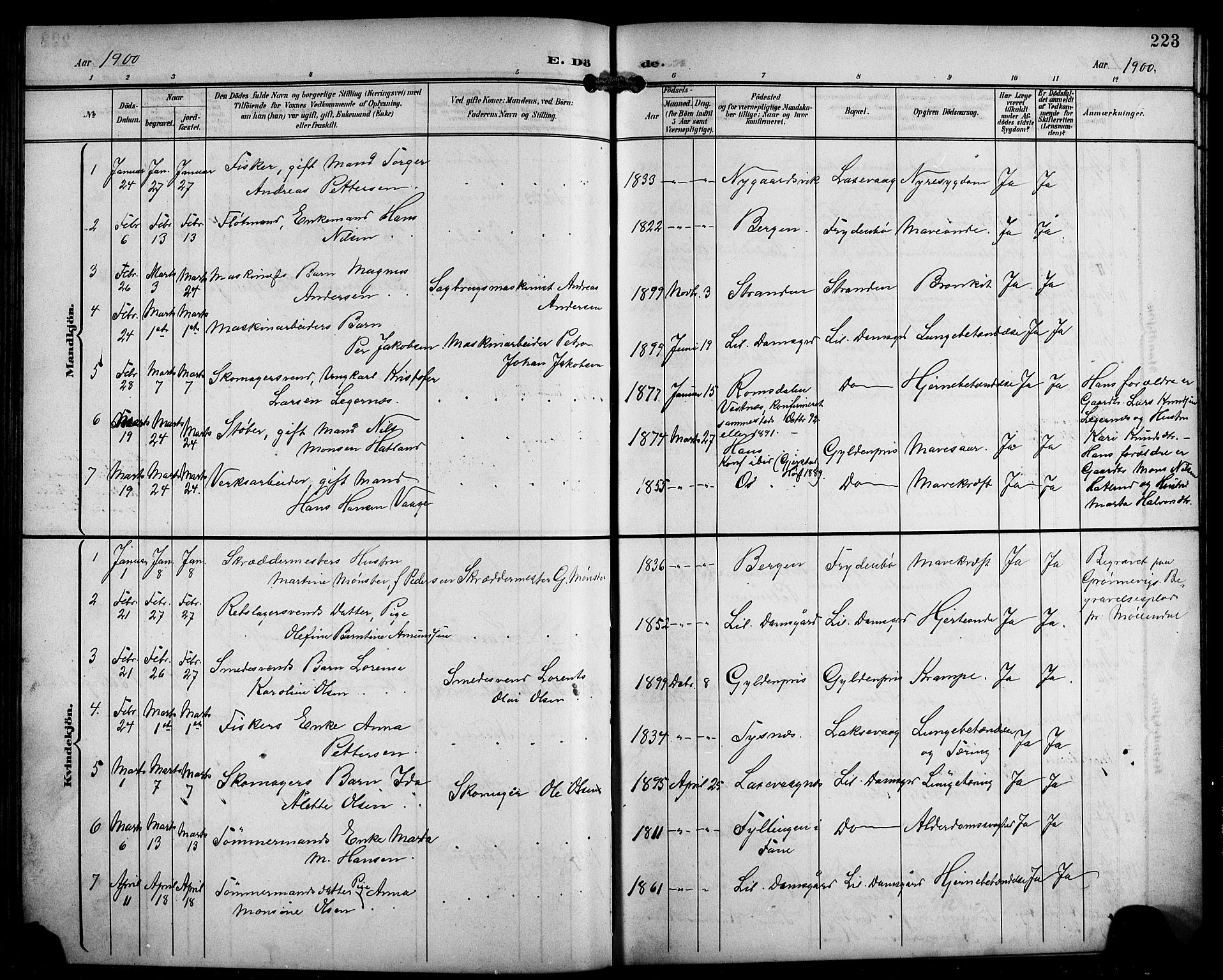 Laksevåg Sokneprestembete, SAB/A-76501/H/Ha/Hab/Haba/L0004: Parish register (copy) no. A 4, 1899-1909, p. 223