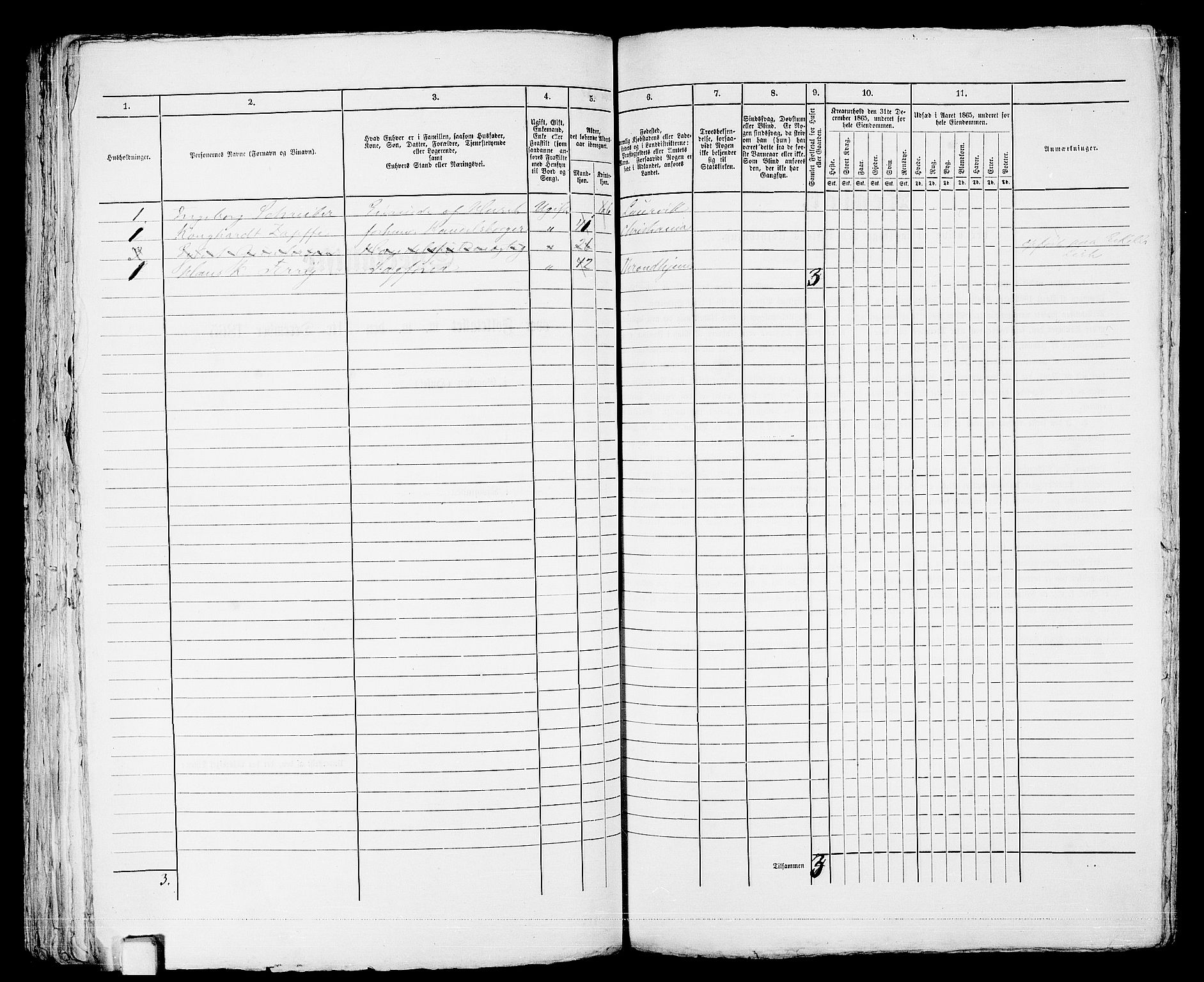 RA, 1865 census for Larvik, 1865, p. 208