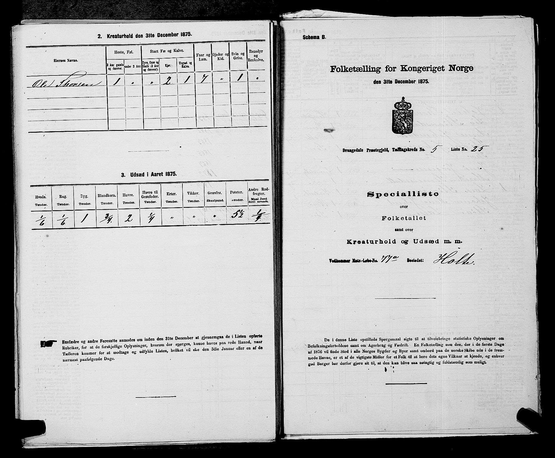SAKO, 1875 census for 0817P Drangedal, 1875, p. 533