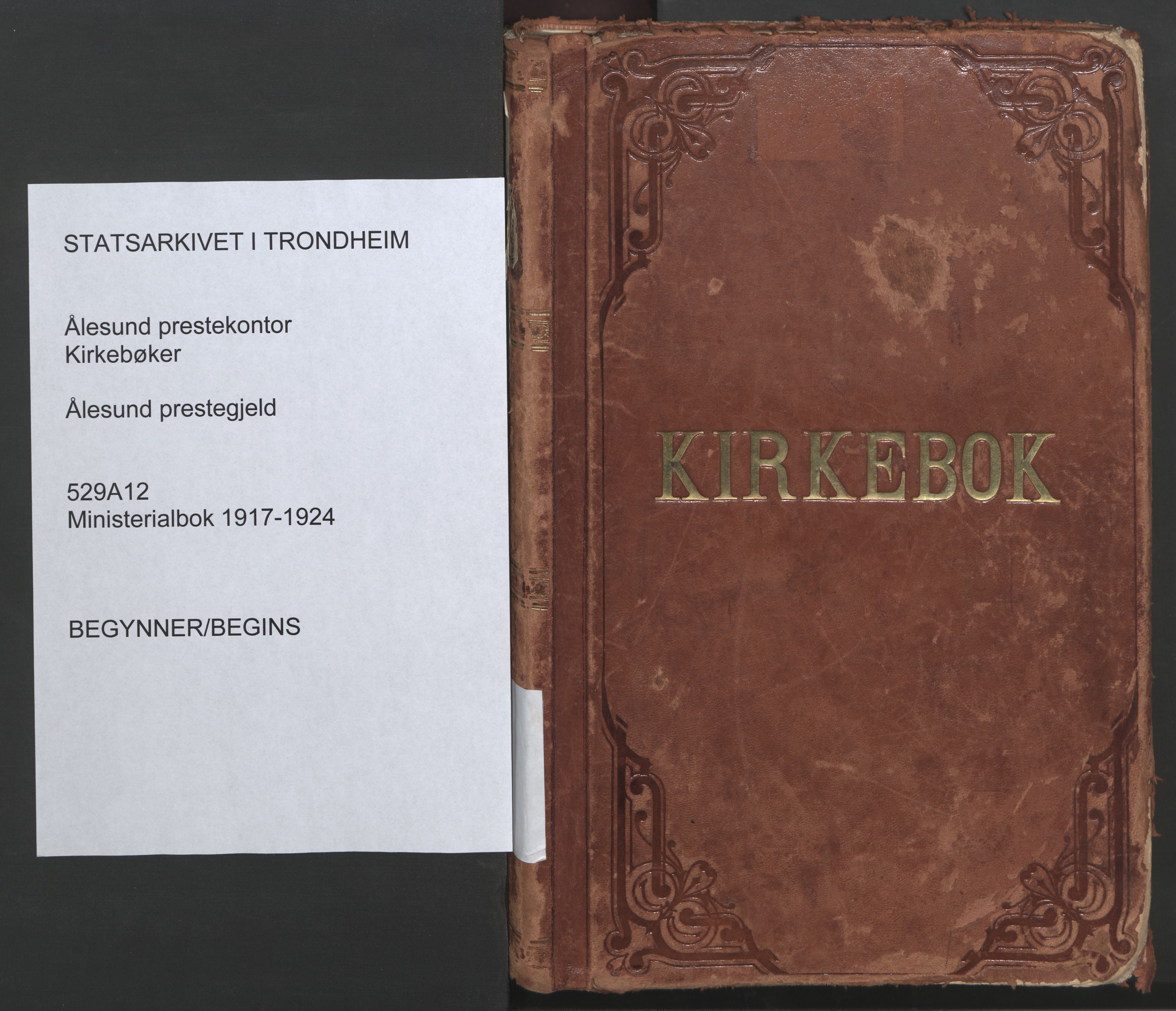 Ministerialprotokoller, klokkerbøker og fødselsregistre - Møre og Romsdal, AV/SAT-A-1454/529/L0462: Parish register (official) no. 529A12, 1917-1924