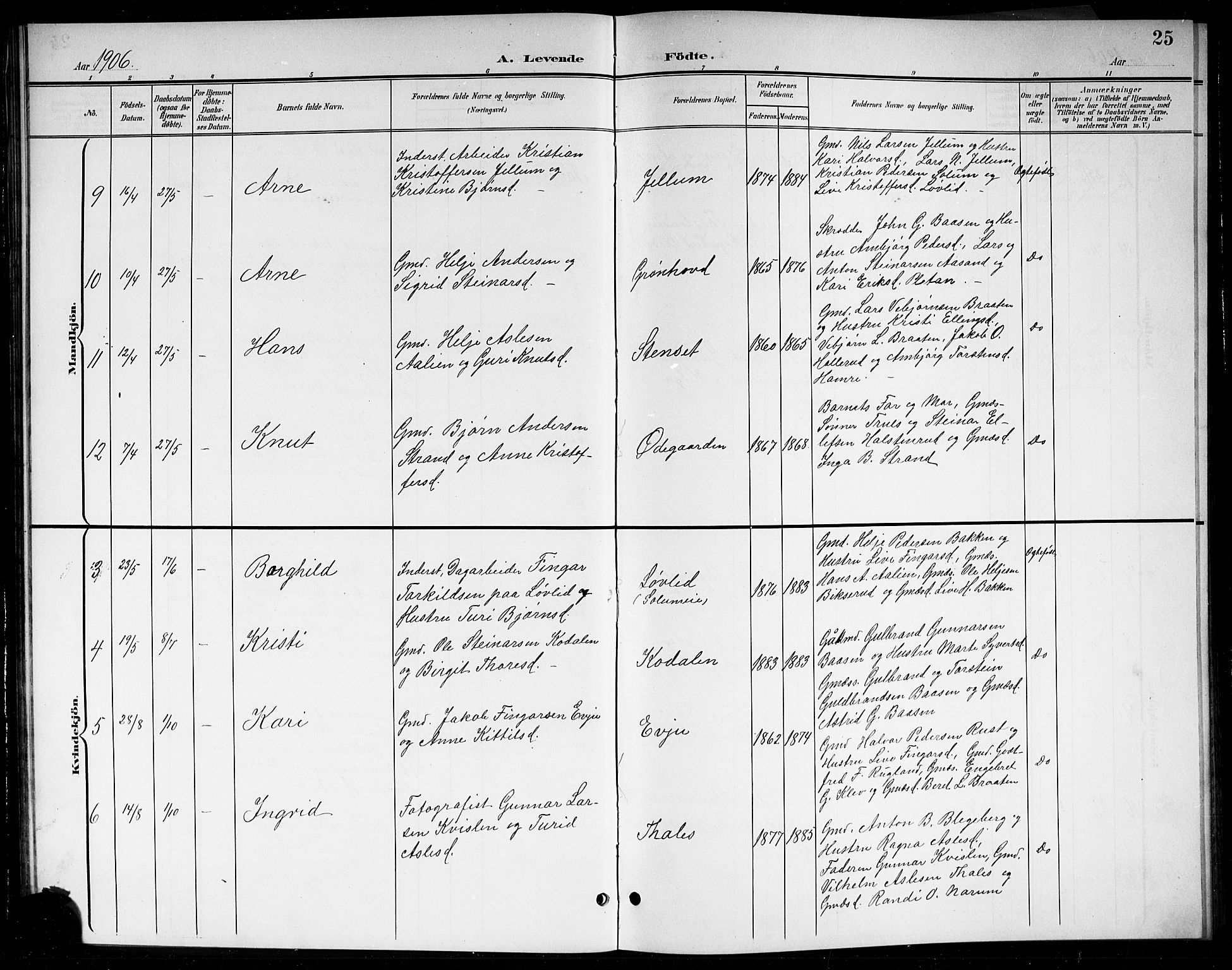 Sigdal kirkebøker, AV/SAKO-A-245/G/Gb/L0003: Parish register (copy) no. II 3, 1901-1916, p. 25