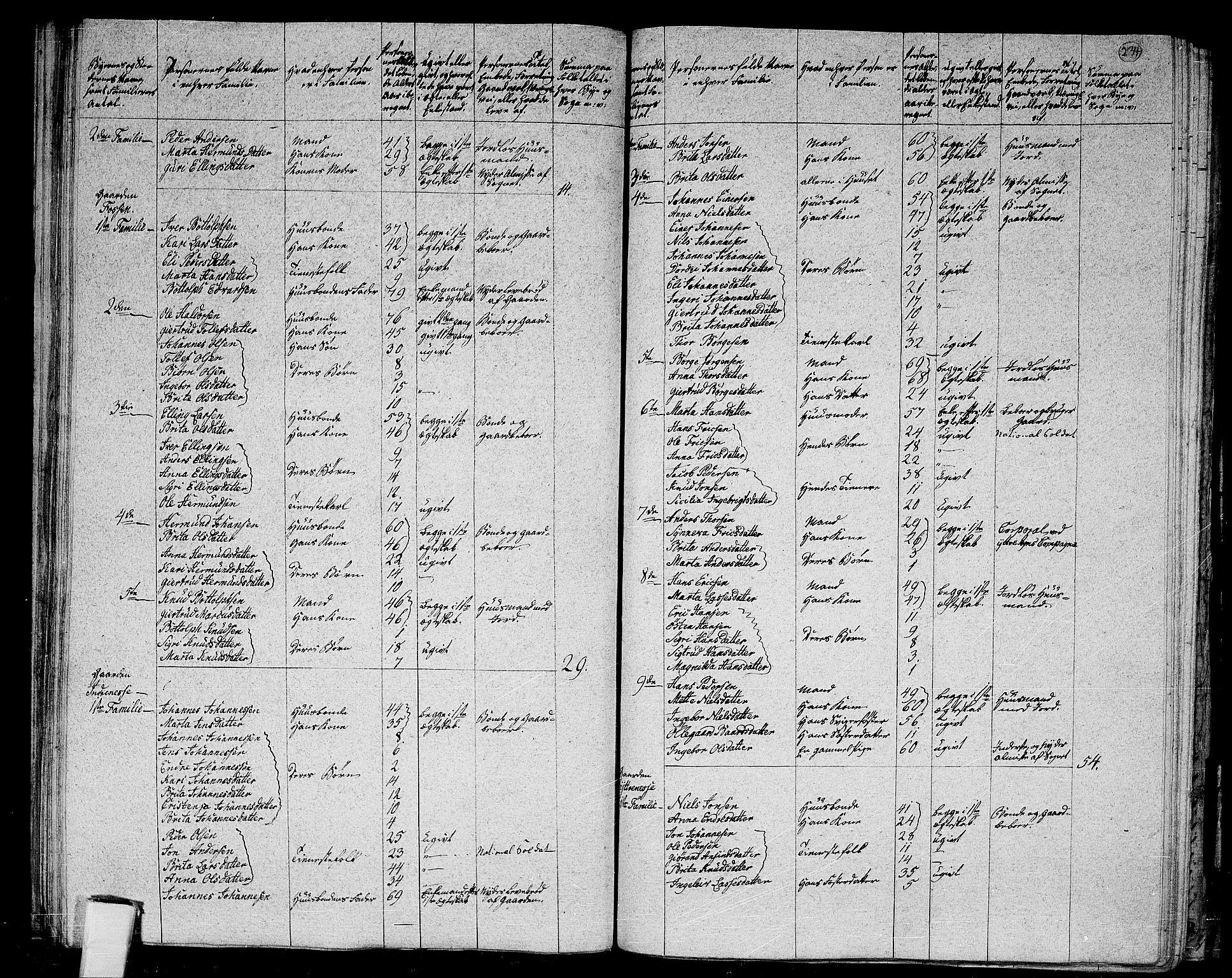 RA, 1801 census for 1417P Vik, 1801, p. 233b-234a