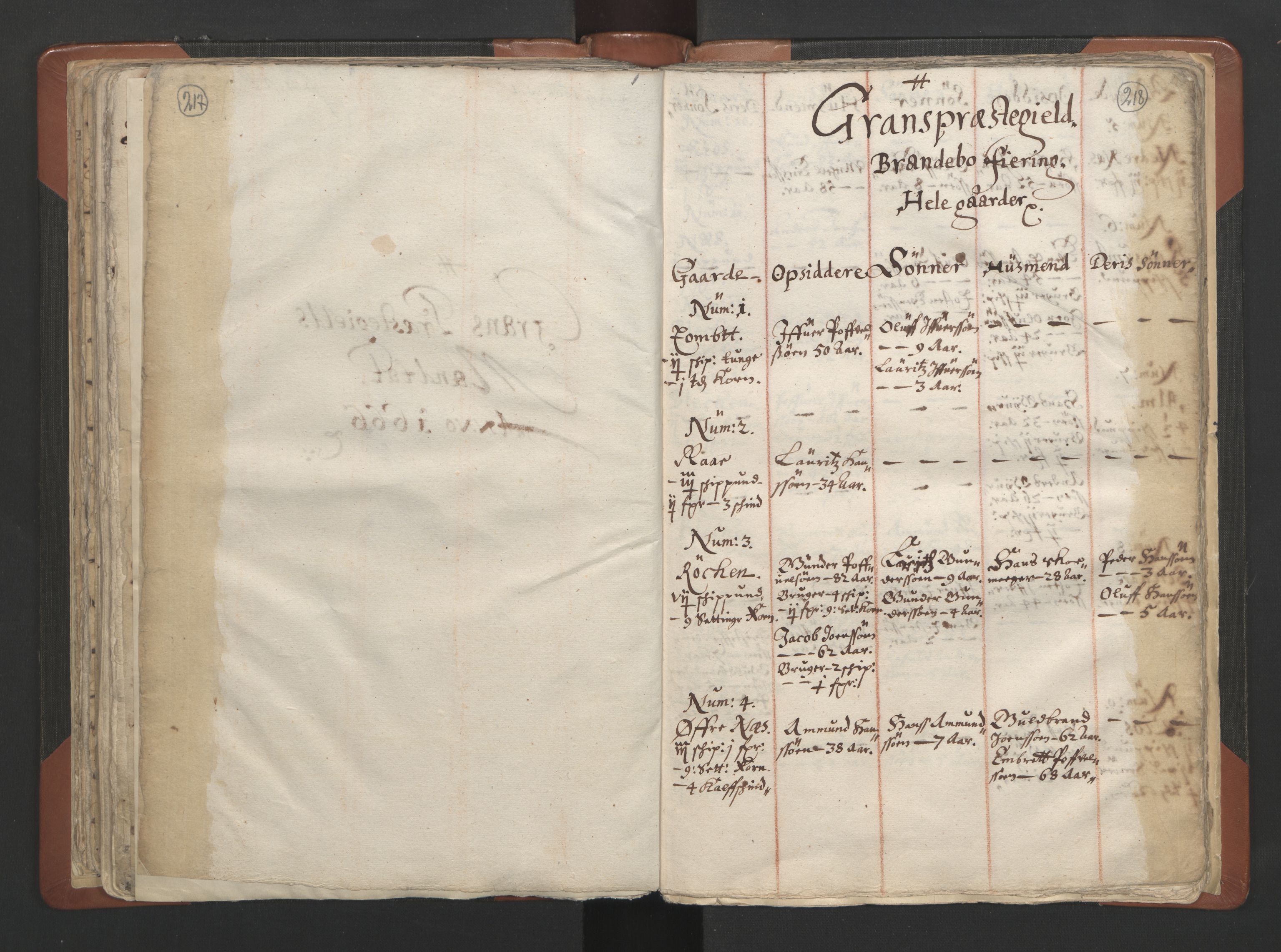 RA, Vicar's Census 1664-1666, no. 7: Hadeland deanery, 1664-1666, p. 217-218