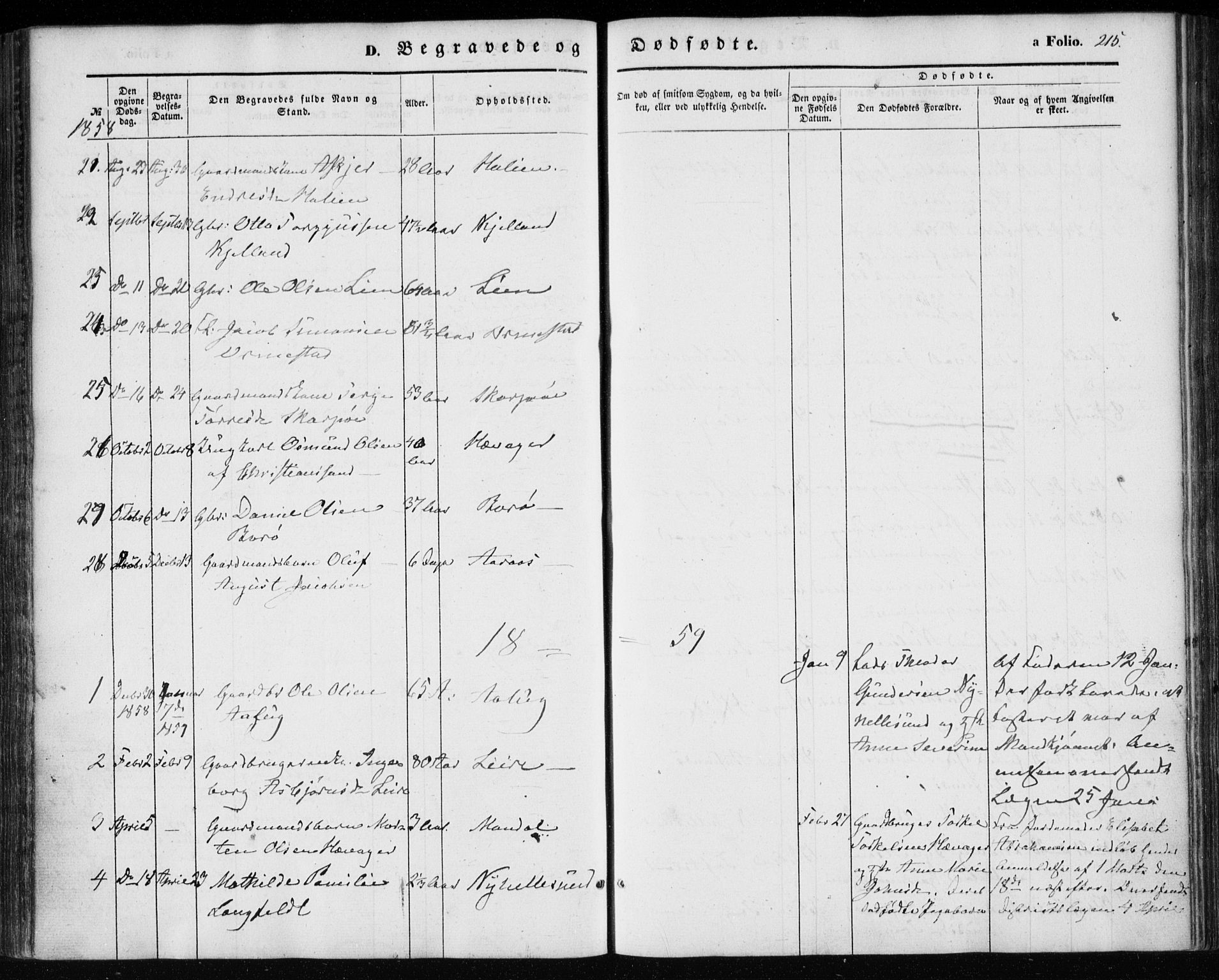Søgne sokneprestkontor, SAK/1111-0037/F/Fa/Fab/L0010: Parish register (official) no. A 10, 1853-1869, p. 215