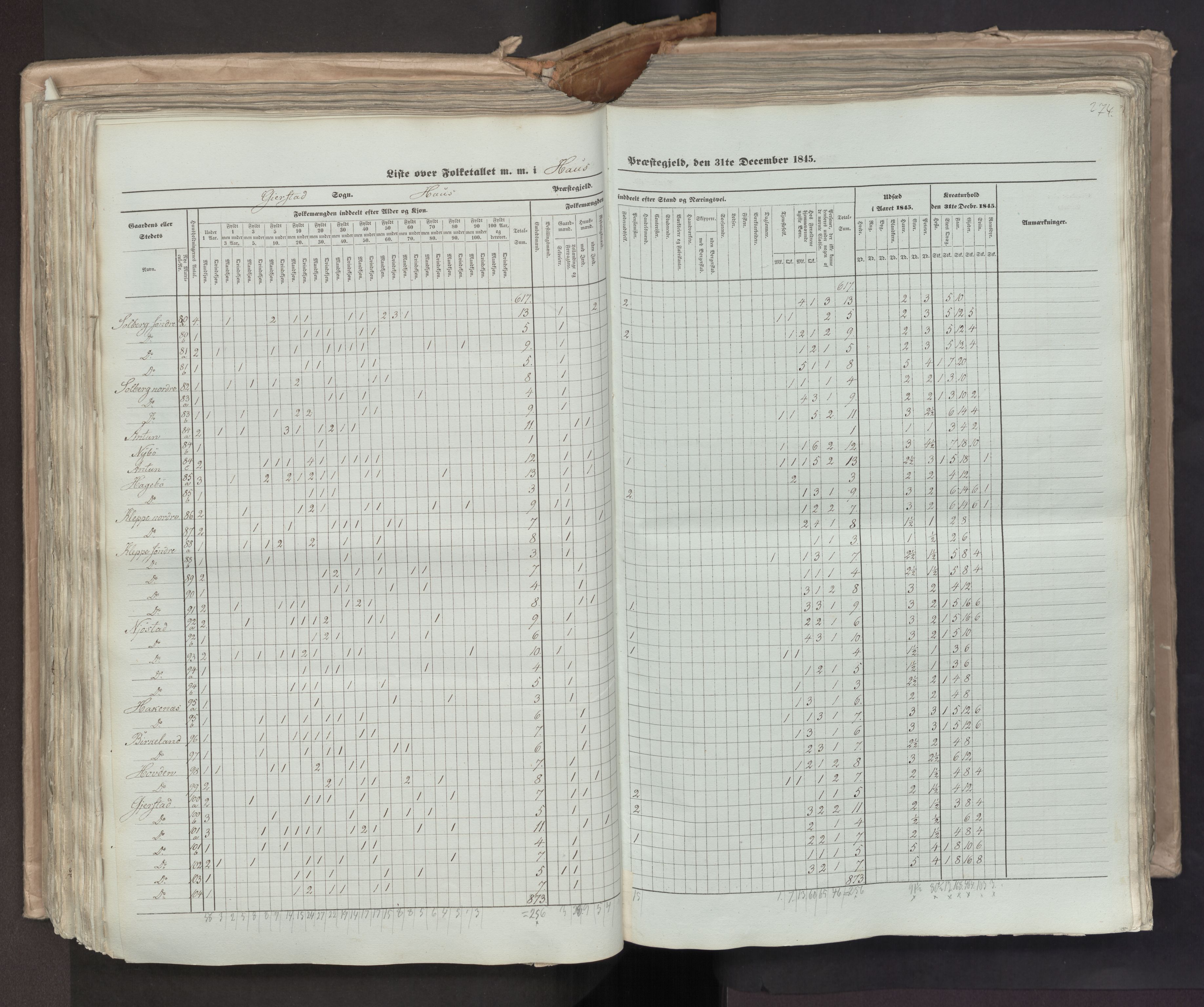 RA, Census 1845, vol. 7: Søndre Bergenhus amt og Nordre Bergenhus amt, 1845, p. 274