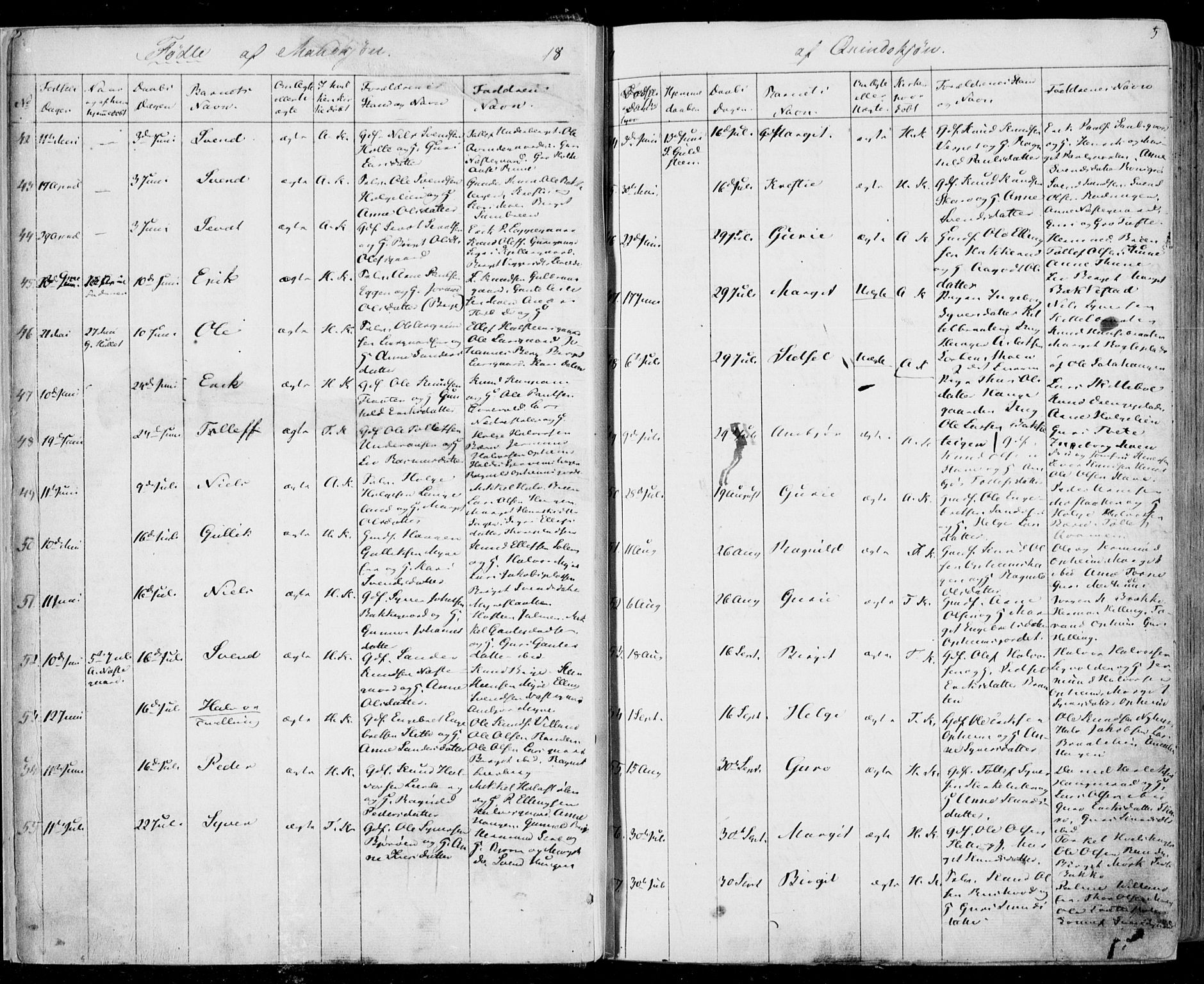 Ål kirkebøker, AV/SAKO-A-249/F/Fa/L0006: Parish register (official) no. I 6, 1849-1864, p. 5