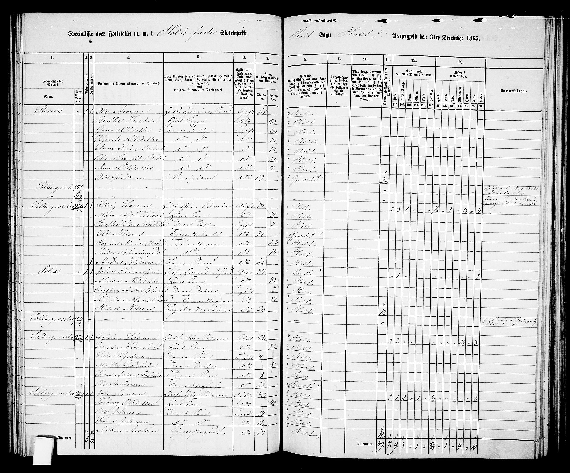 RA, 1865 census for Holt/Holt, 1865, p. 102