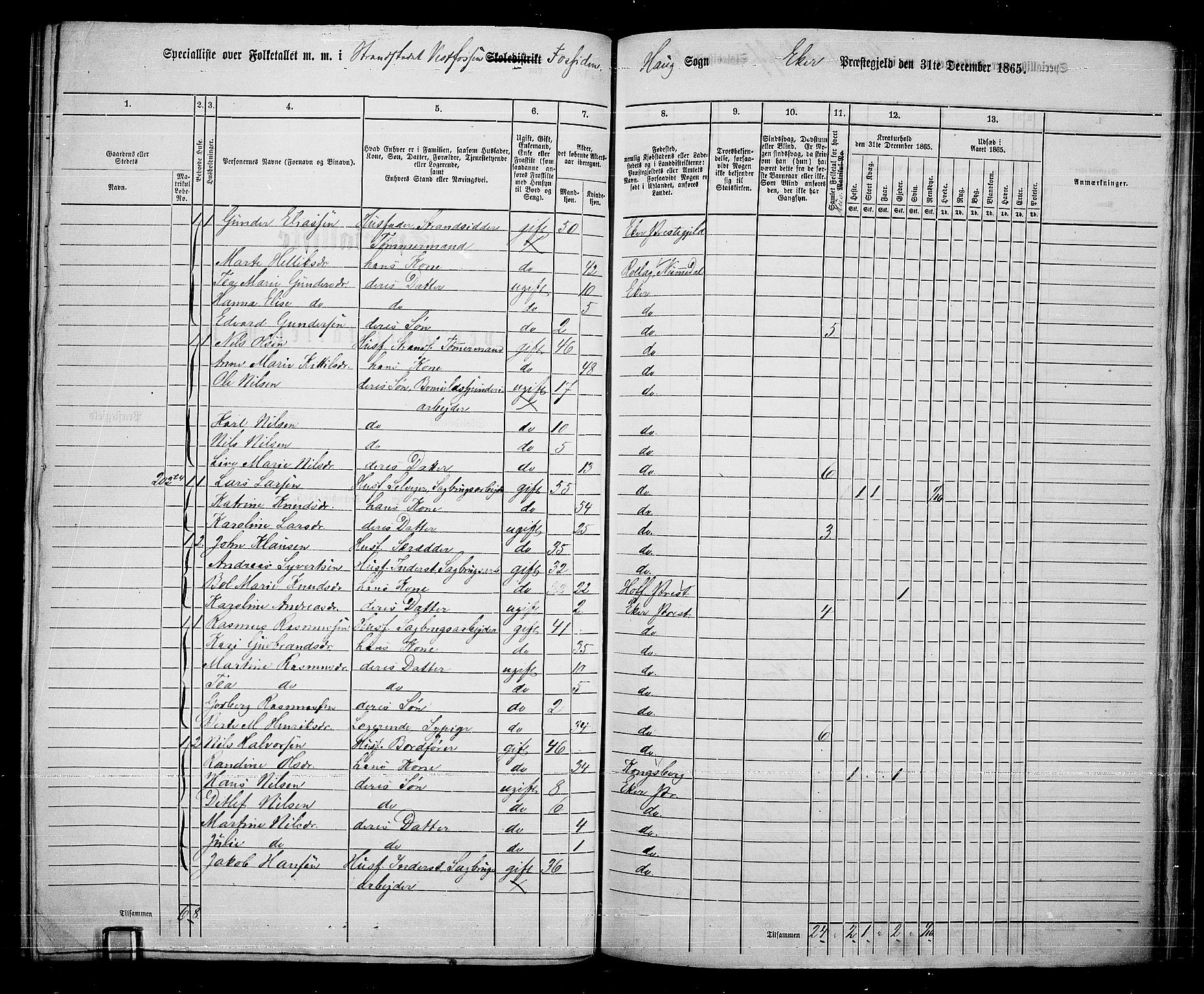 RA, 1865 census for Eiker, 1865, p. 224