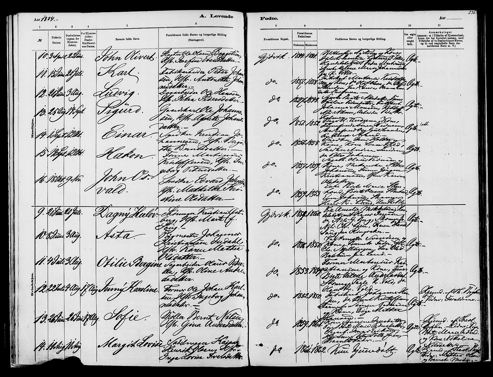 Vardal prestekontor, SAH/PREST-100/H/Ha/Haa/L0008: Parish register (official) no. 8, 1878-1890, p. 236