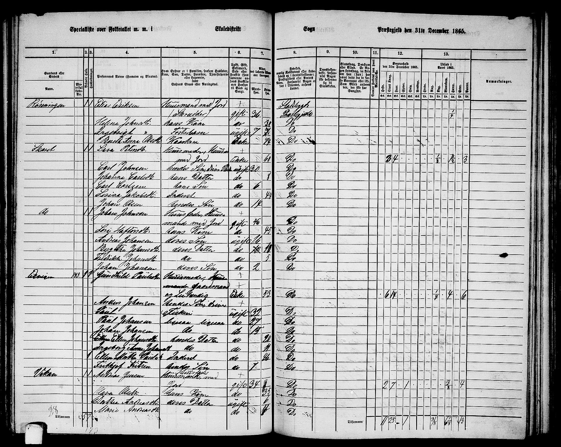 RA, 1865 census for Stadsbygd, 1865, p. 131