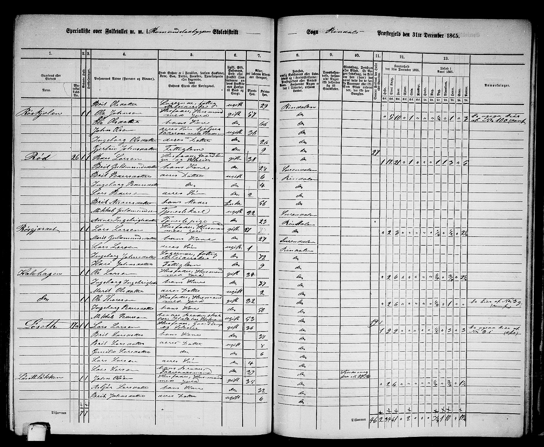 RA, 1865 census for Rindal, 1865, p. 84