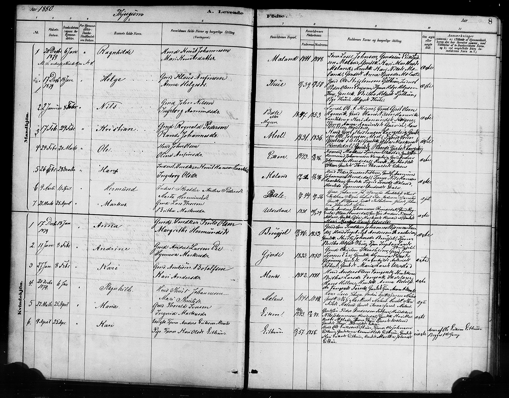 Balestrand sokneprestembete, AV/SAB-A-79601/H/Haa/Haaa/L0004: Parish register (official) no. A 4 / 1, 1879-1888, p. 8