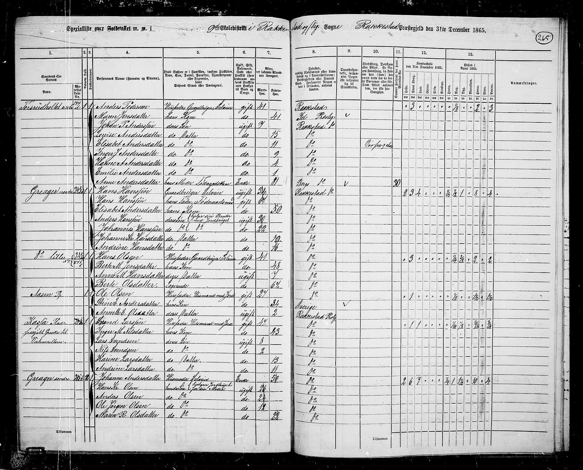 RA, 1865 census for Rakkestad, 1865, p. 254