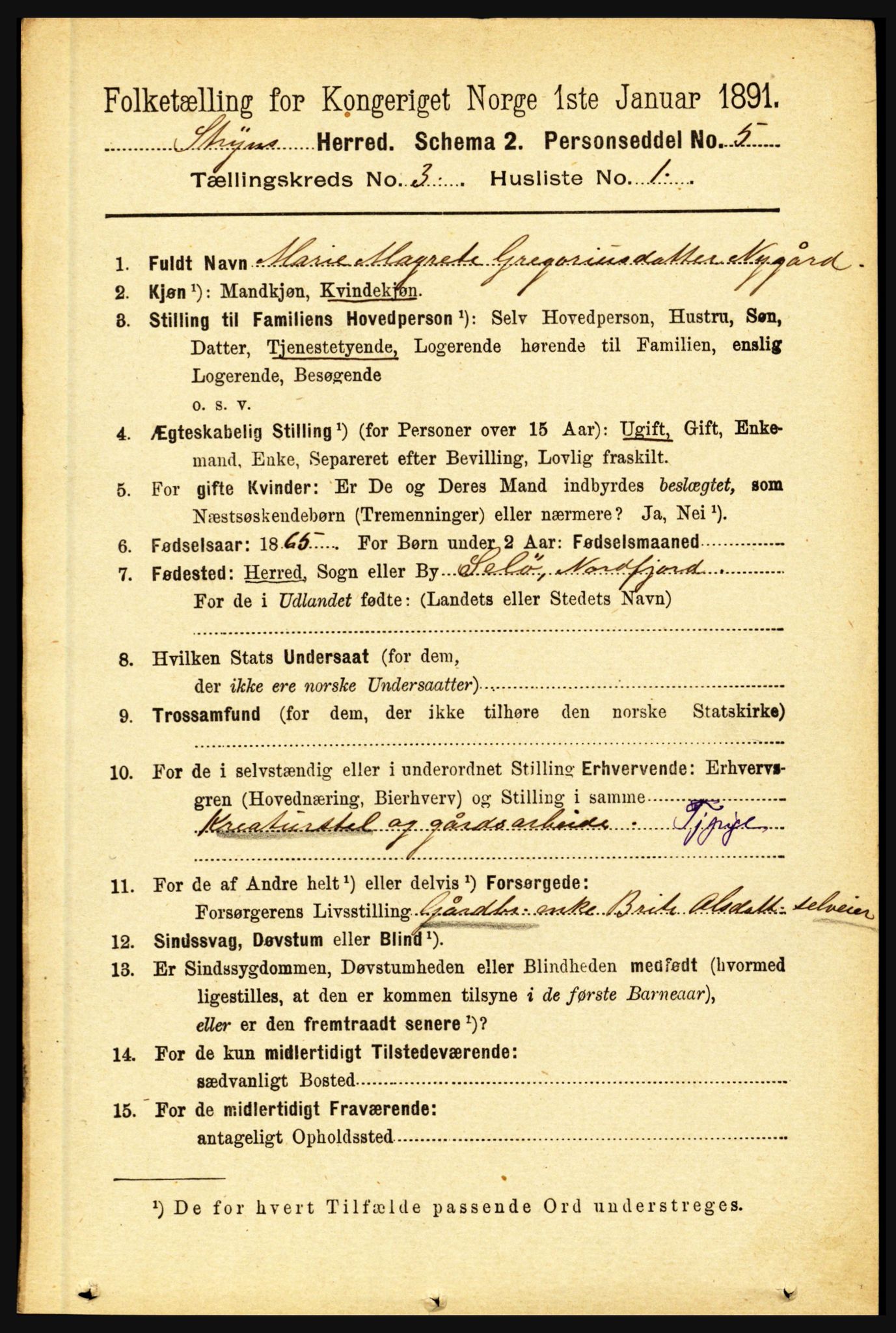 RA, 1891 census for 1448 Stryn, 1891, p. 1100