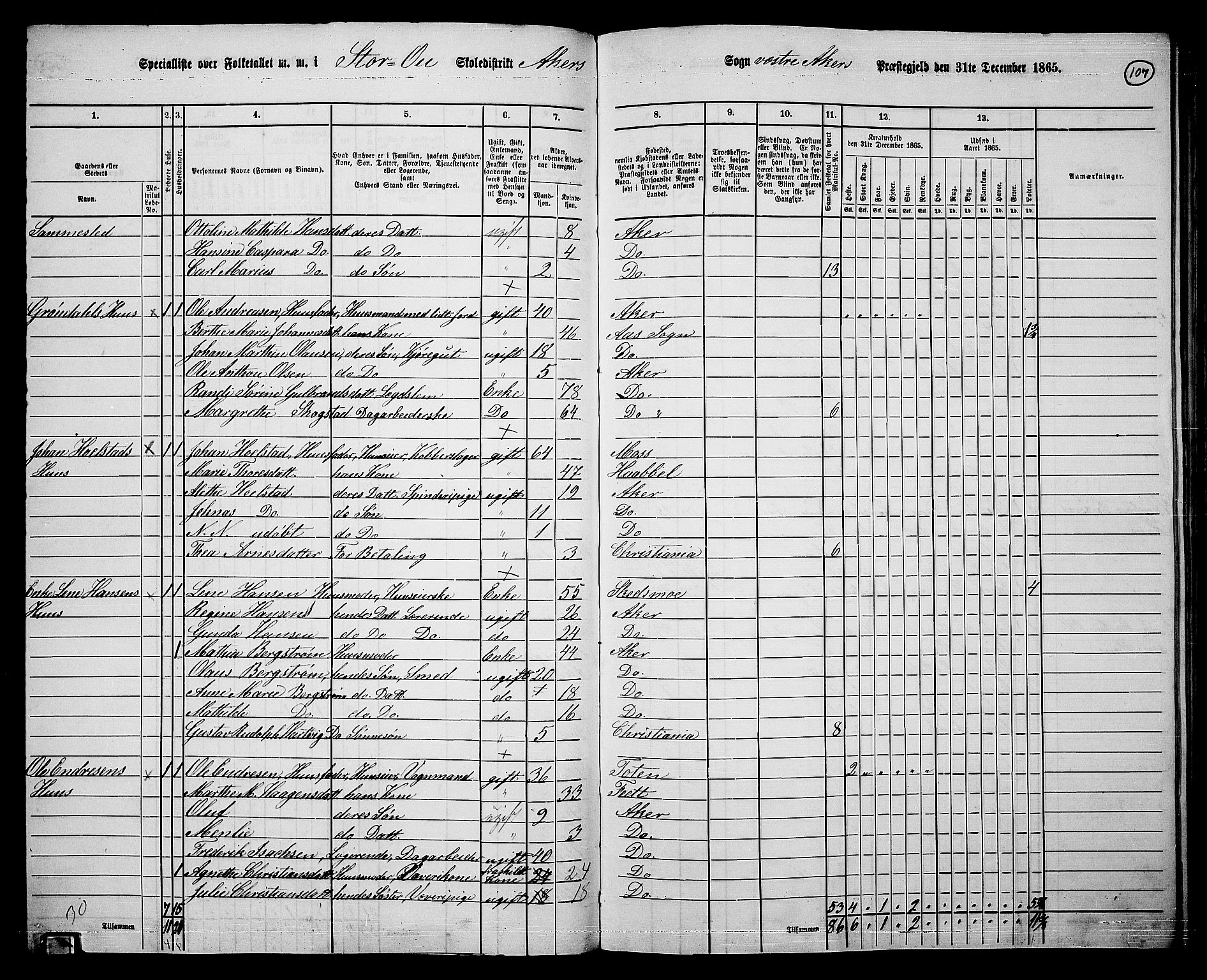 RA, 1865 census for Vestre Aker, 1865, p. 275