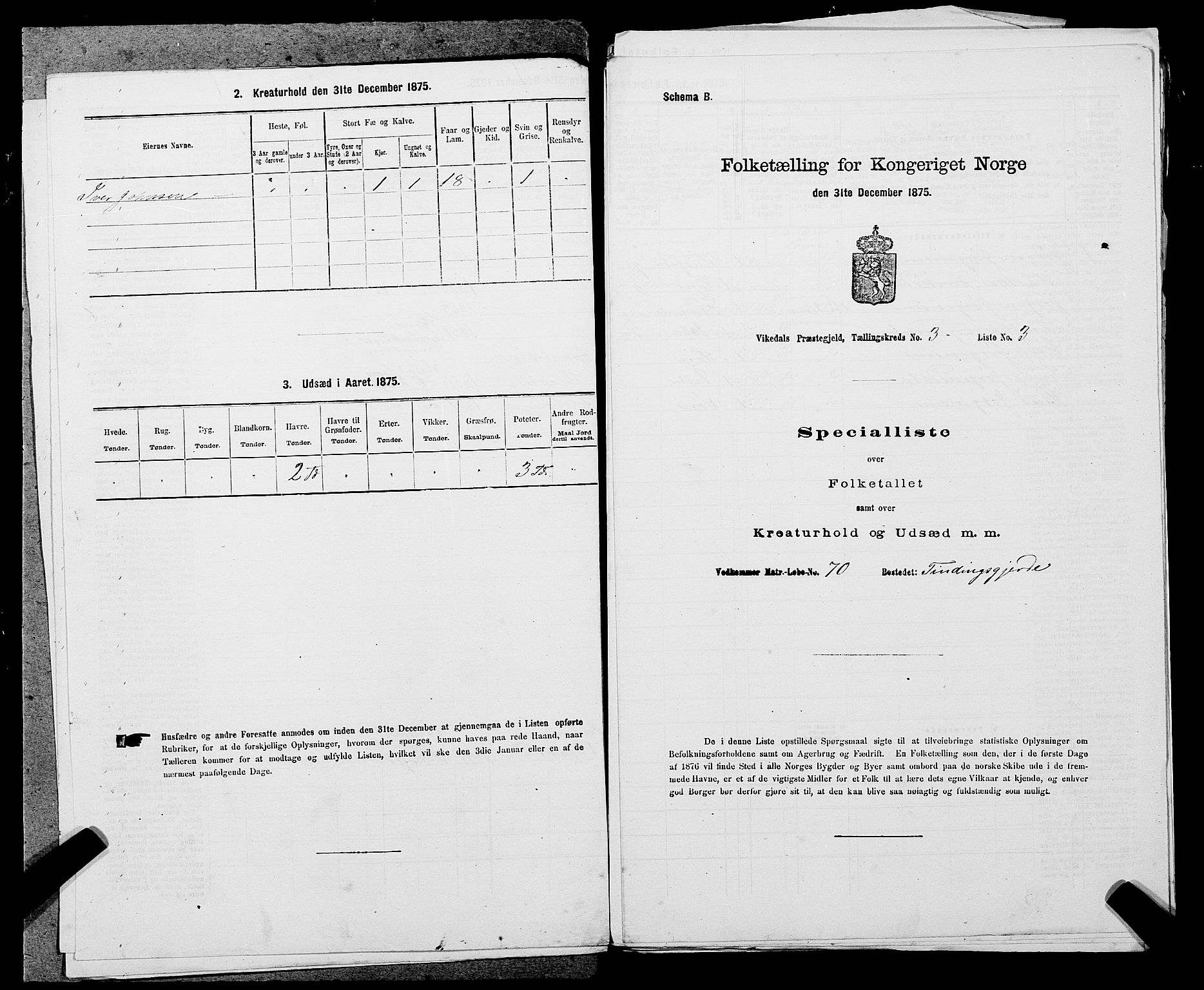 SAST, 1875 census for 1157P Vikedal, 1875, p. 345