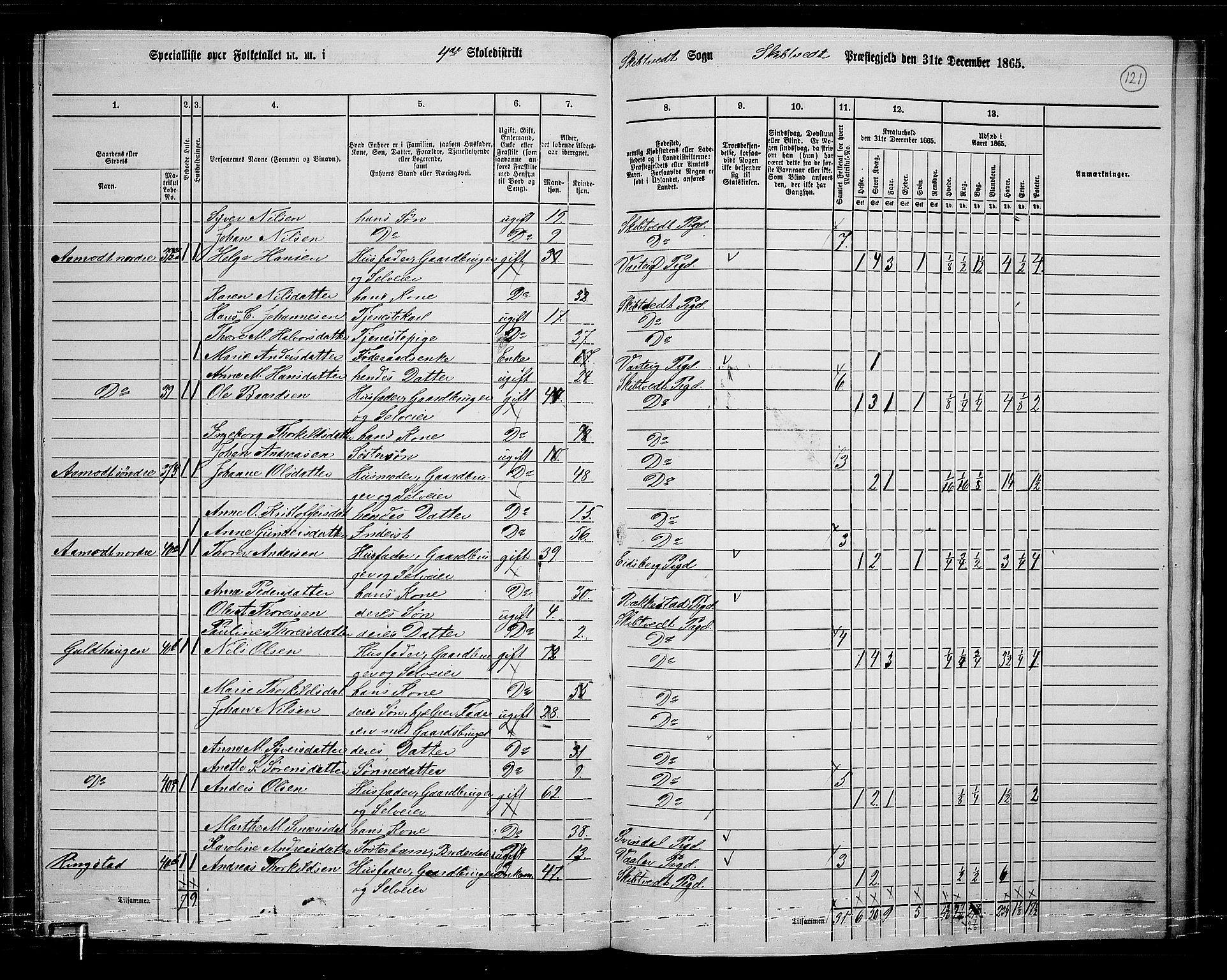 RA, 1865 census for Skiptvet, 1865, p. 111