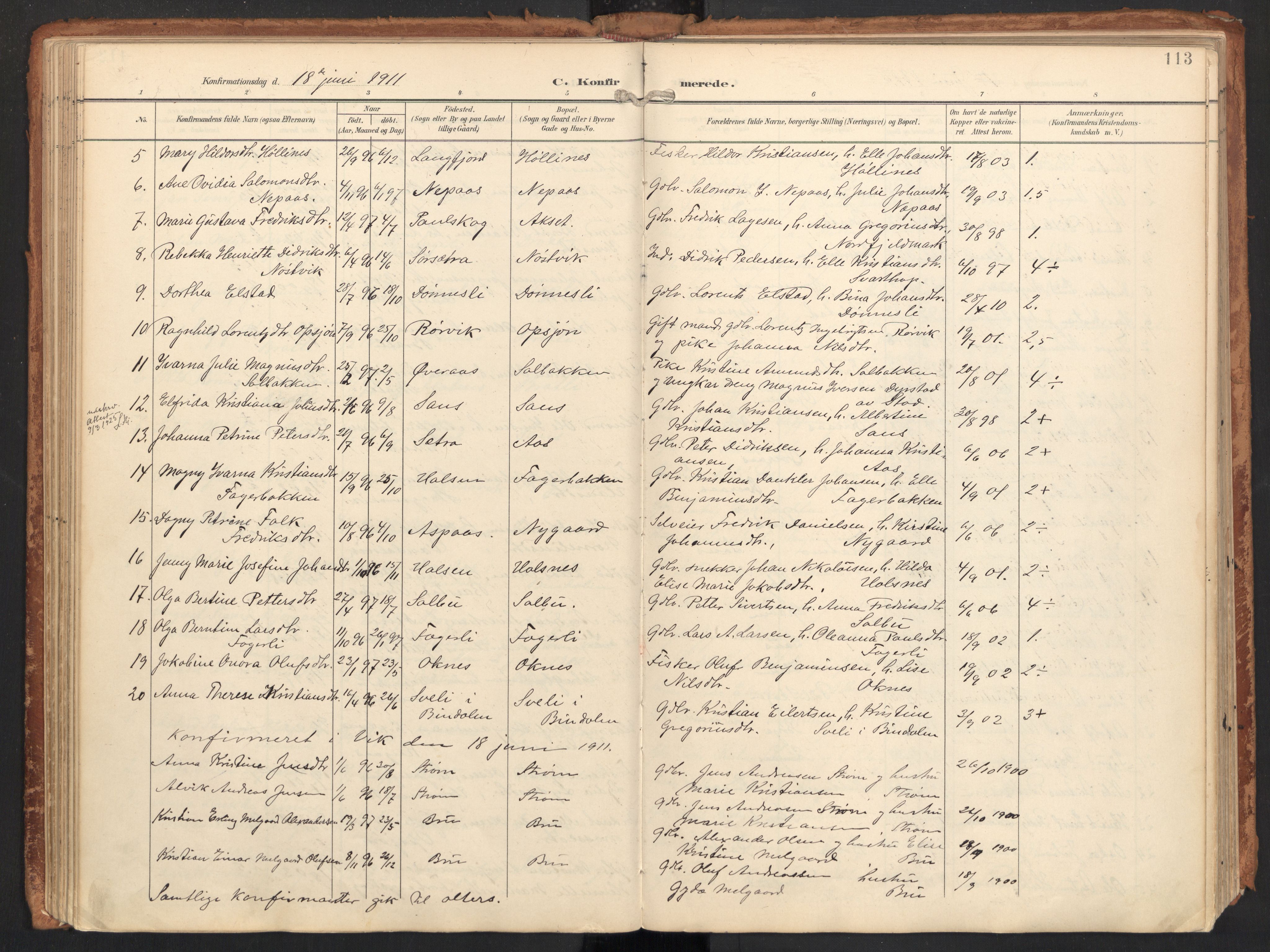 Ministerialprotokoller, klokkerbøker og fødselsregistre - Nordland, AV/SAT-A-1459/814/L0227: Parish register (official) no. 814A08, 1899-1920, p. 113