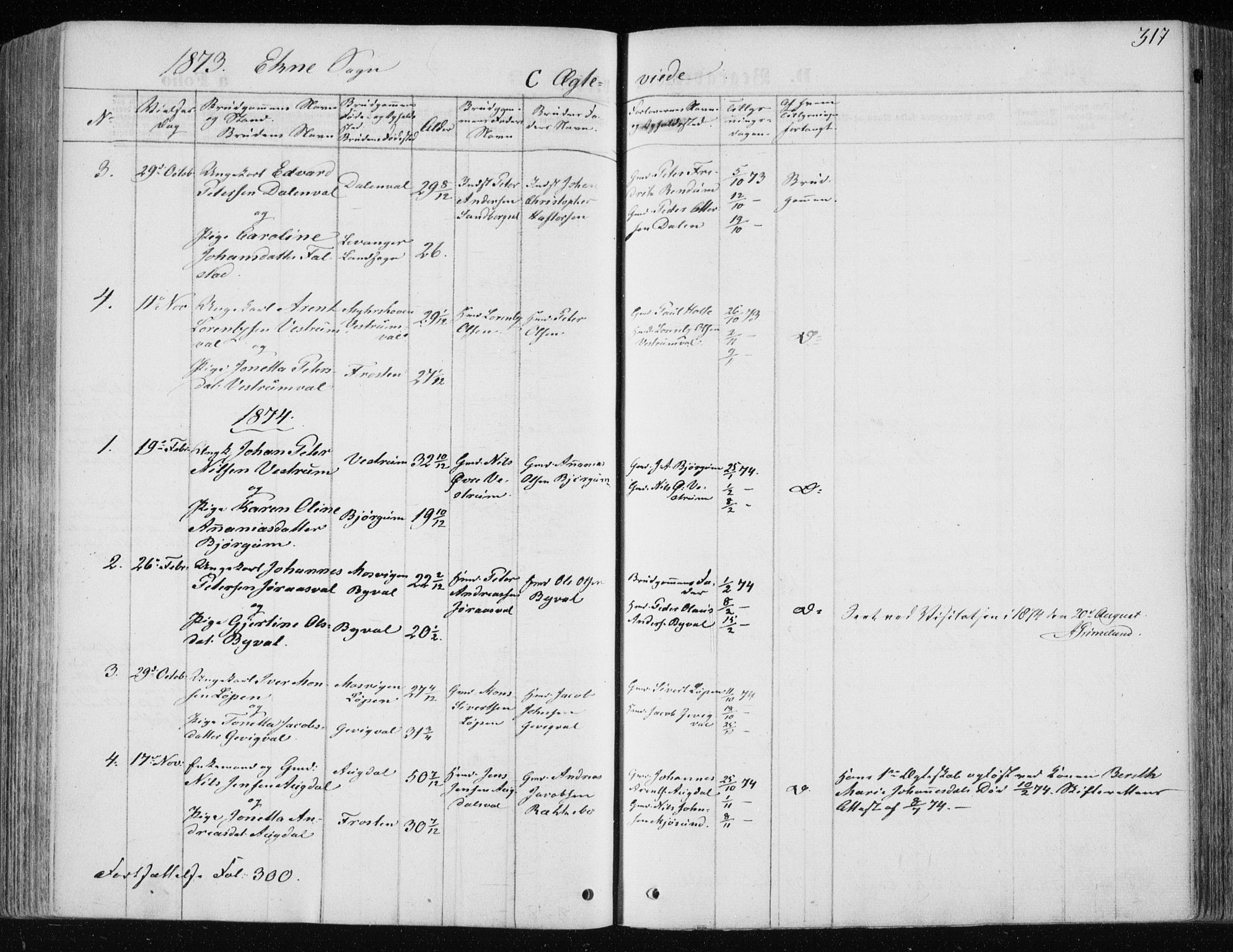 Ministerialprotokoller, klokkerbøker og fødselsregistre - Nord-Trøndelag, AV/SAT-A-1458/717/L0158: Parish register (official) no. 717A08 /2, 1863-1877, p. 317