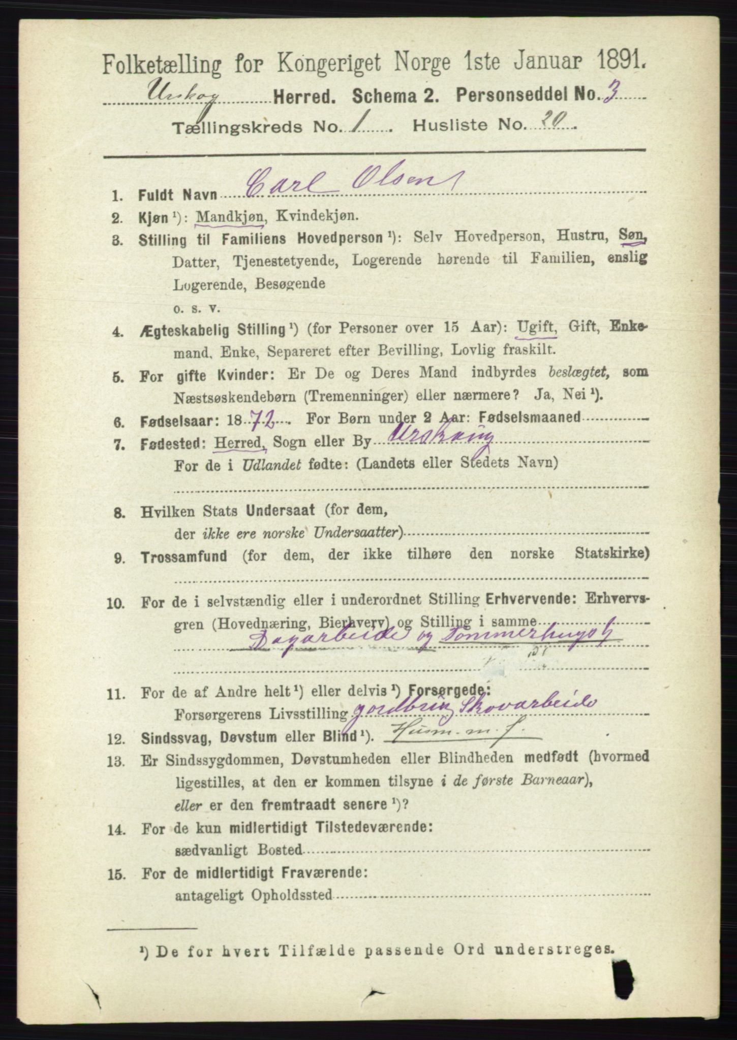 RA, 1891 census for 0224 Aurskog, 1891, p. 156