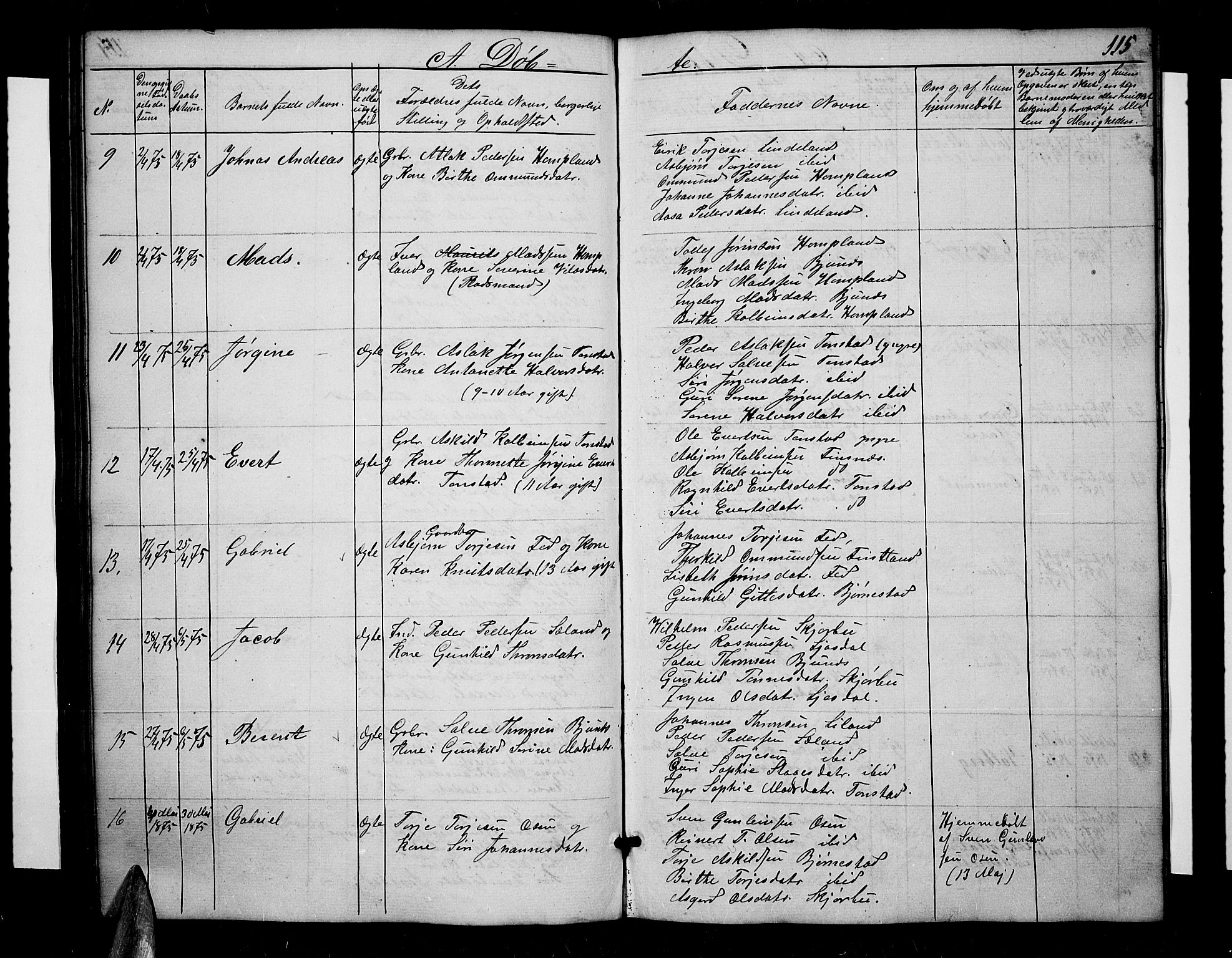 Sirdal sokneprestkontor, SAK/1111-0036/F/Fb/Fbb/L0002: Parish register (copy) no. B 2, 1848-1878, p. 115