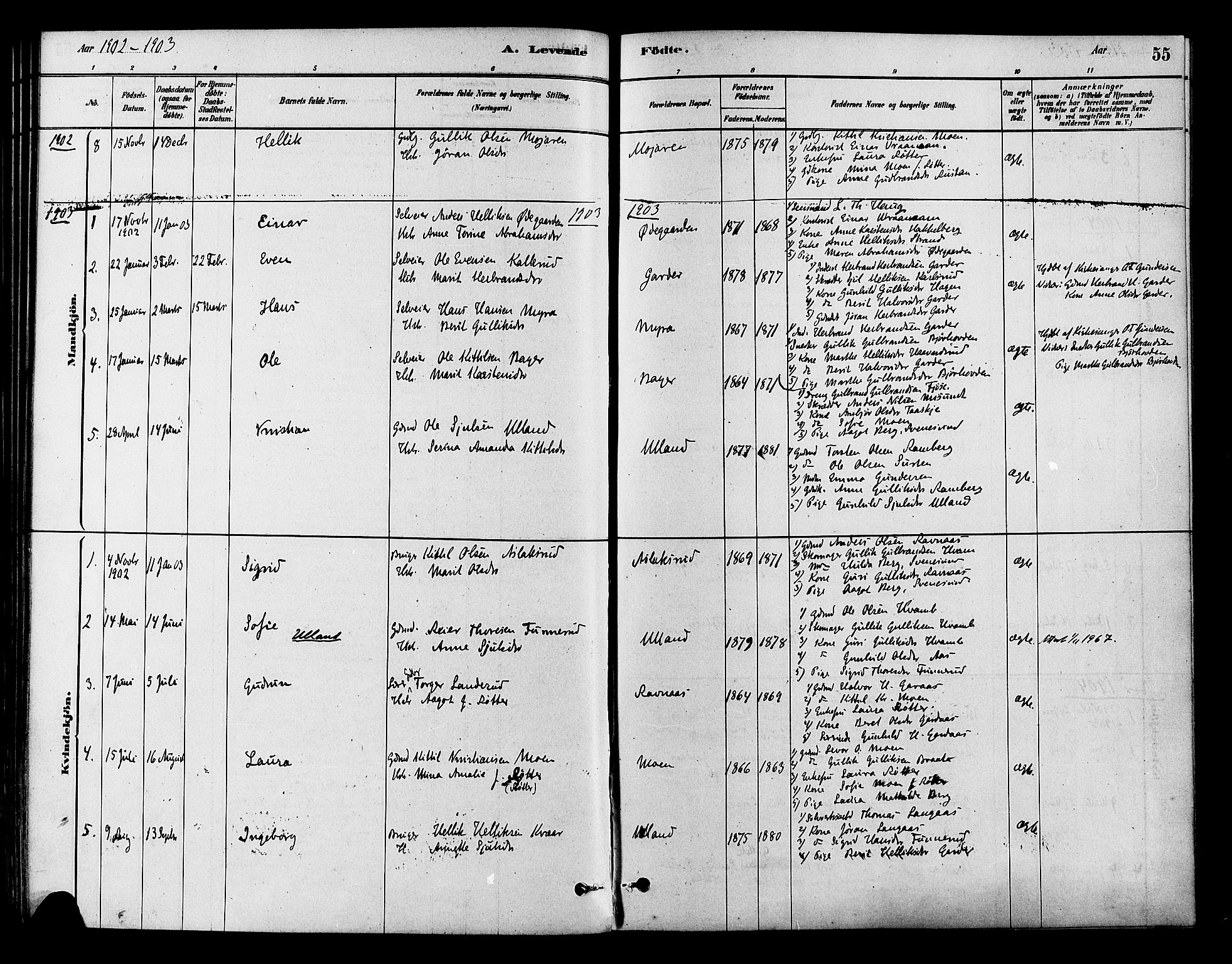 Flesberg kirkebøker, AV/SAKO-A-18/F/Fb/L0001: Parish register (official) no. II 1, 1879-1907, p. 55