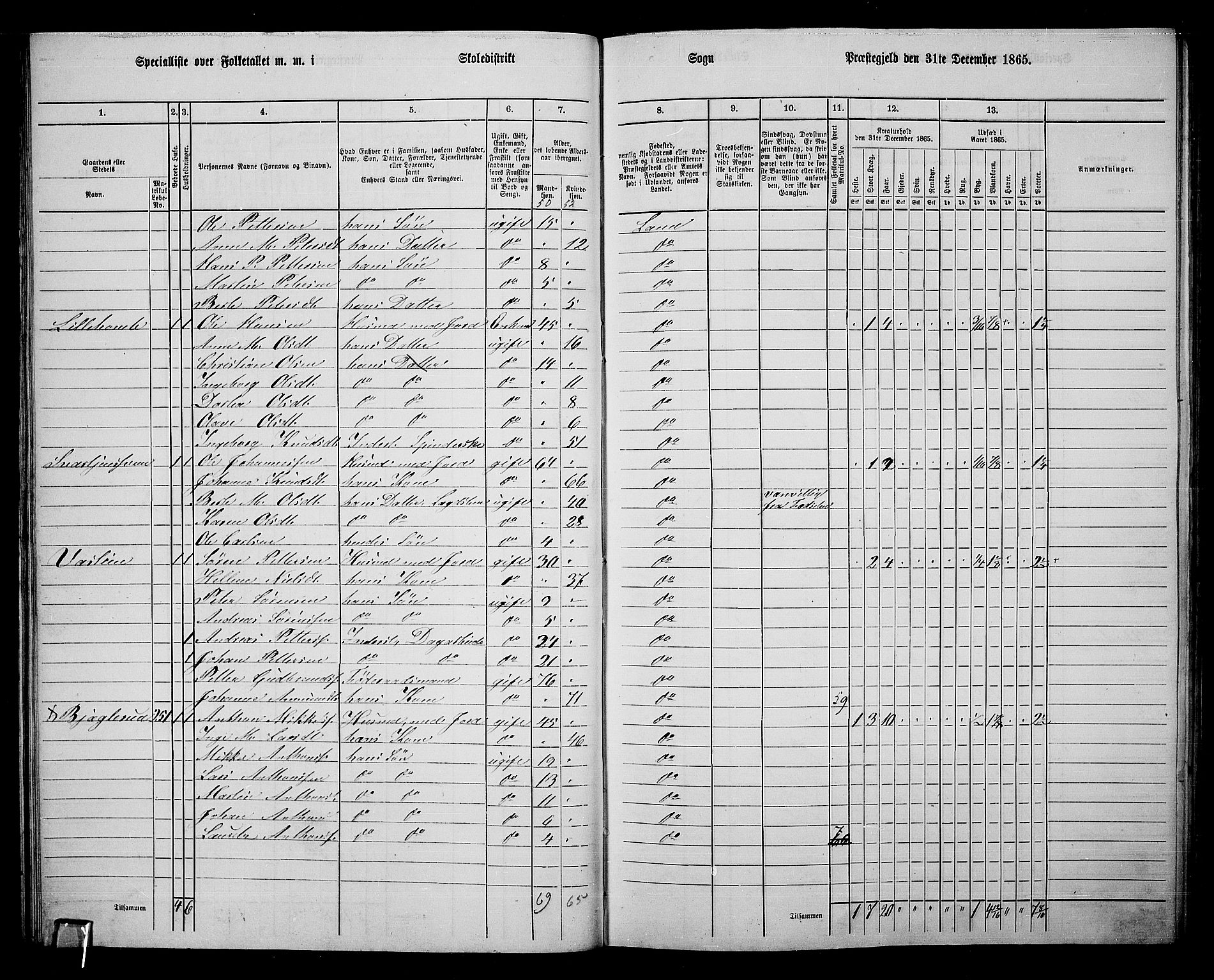 RA, 1865 census for Land, 1865, p. 260