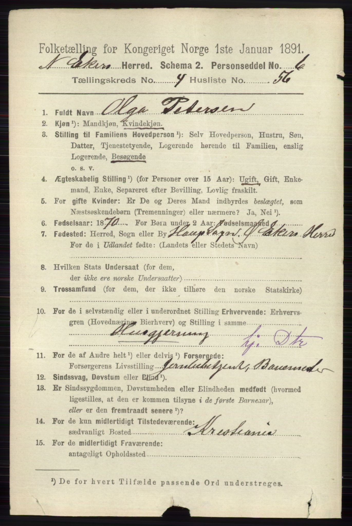 RA, 1891 census for 0625 Nedre Eiker, 1891, p. 2252