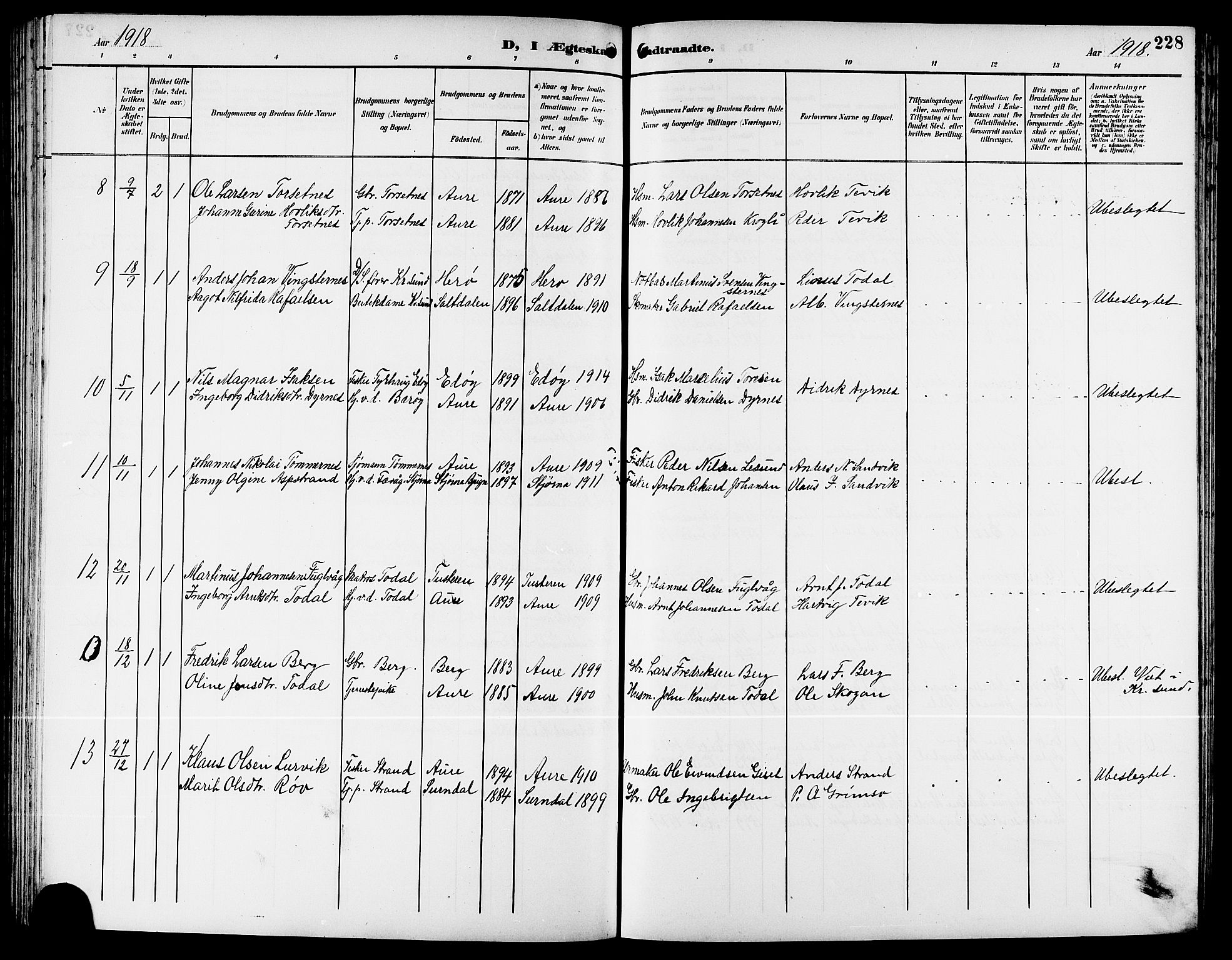 Ministerialprotokoller, klokkerbøker og fødselsregistre - Møre og Romsdal, AV/SAT-A-1454/578/L0910: Parish register (copy) no. 578C03, 1900-1921, p. 228