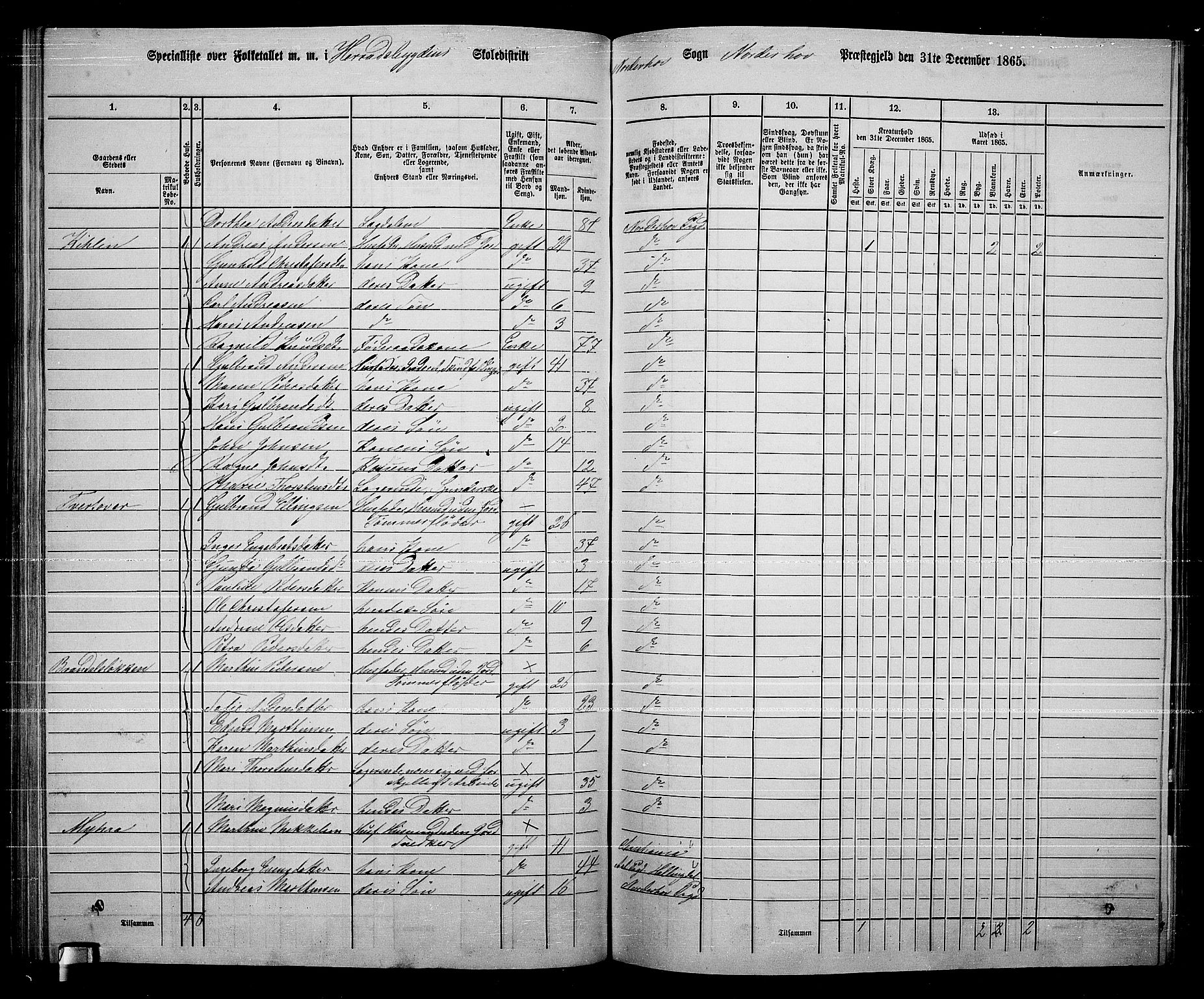 RA, 1865 census for Norderhov/Norderhov, Haug og Lunder, 1865, p. 167