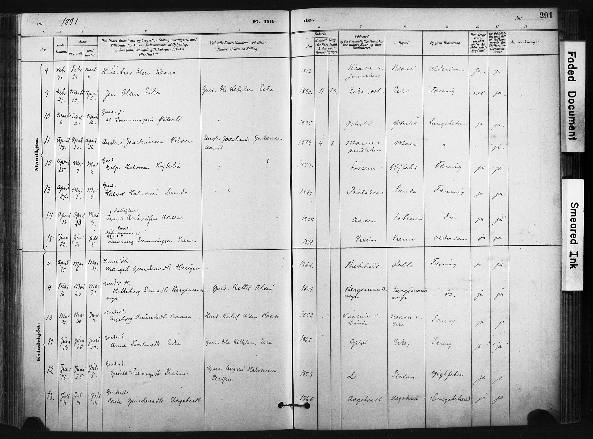 Bø kirkebøker, SAKO/A-257/F/Fa/L0010: Parish register (official) no. 10, 1880-1892, p. 291