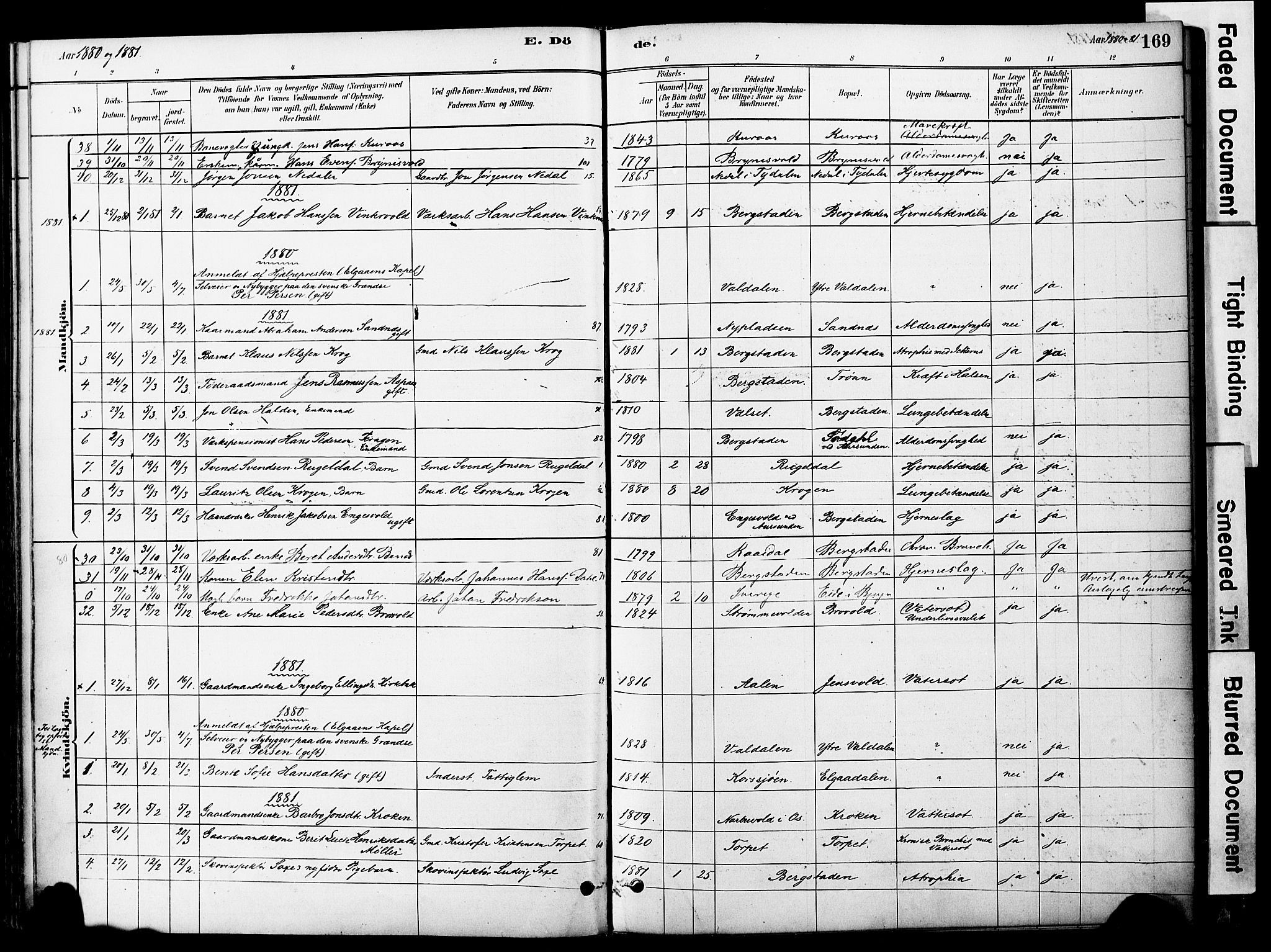 Ministerialprotokoller, klokkerbøker og fødselsregistre - Sør-Trøndelag, SAT/A-1456/681/L0933: Parish register (official) no. 681A11, 1879-1890, p. 169