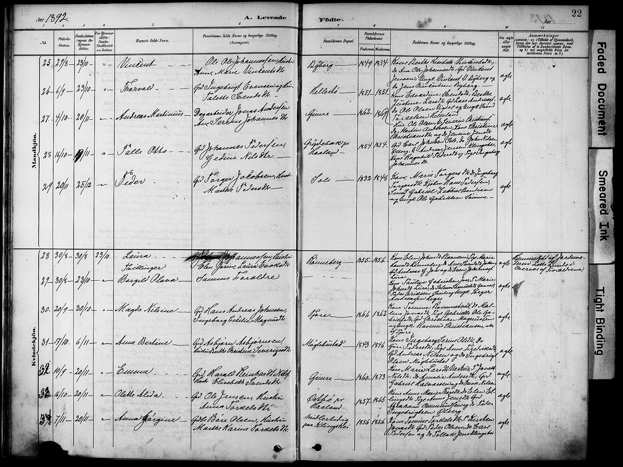 Håland sokneprestkontor, AV/SAST-A-101802/001/30BA/L0012: Parish register (official) no. A 11, 1889-1900, p. 22