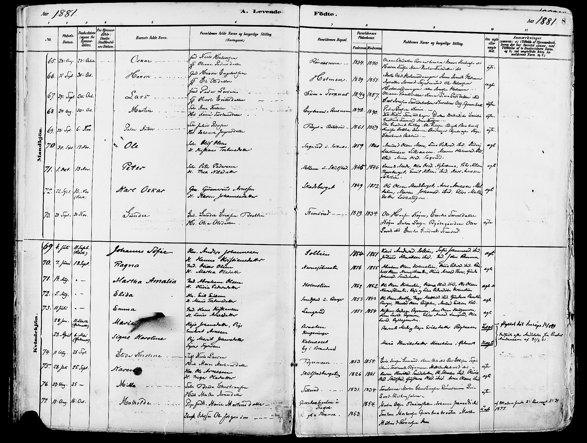 Grue prestekontor, AV/SAH-PREST-036/H/Ha/Haa/L0012: Parish register (official) no. 12, 1881-1897, p. 8