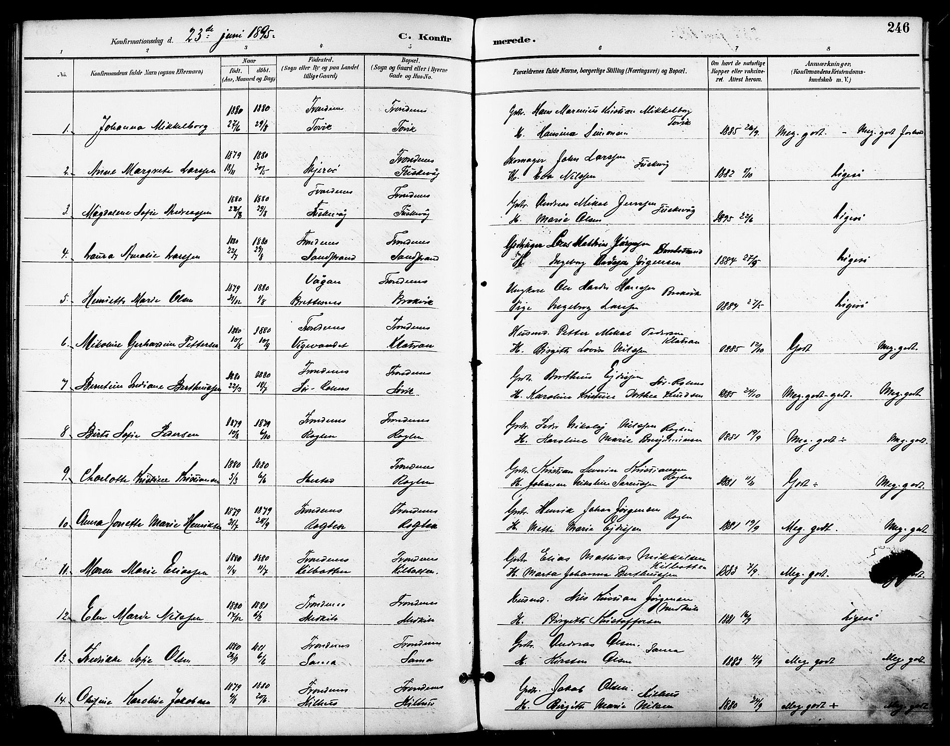 Trondenes sokneprestkontor, SATØ/S-1319/H/Ha/L0016kirke: Parish register (official) no. 16, 1890-1898, p. 246