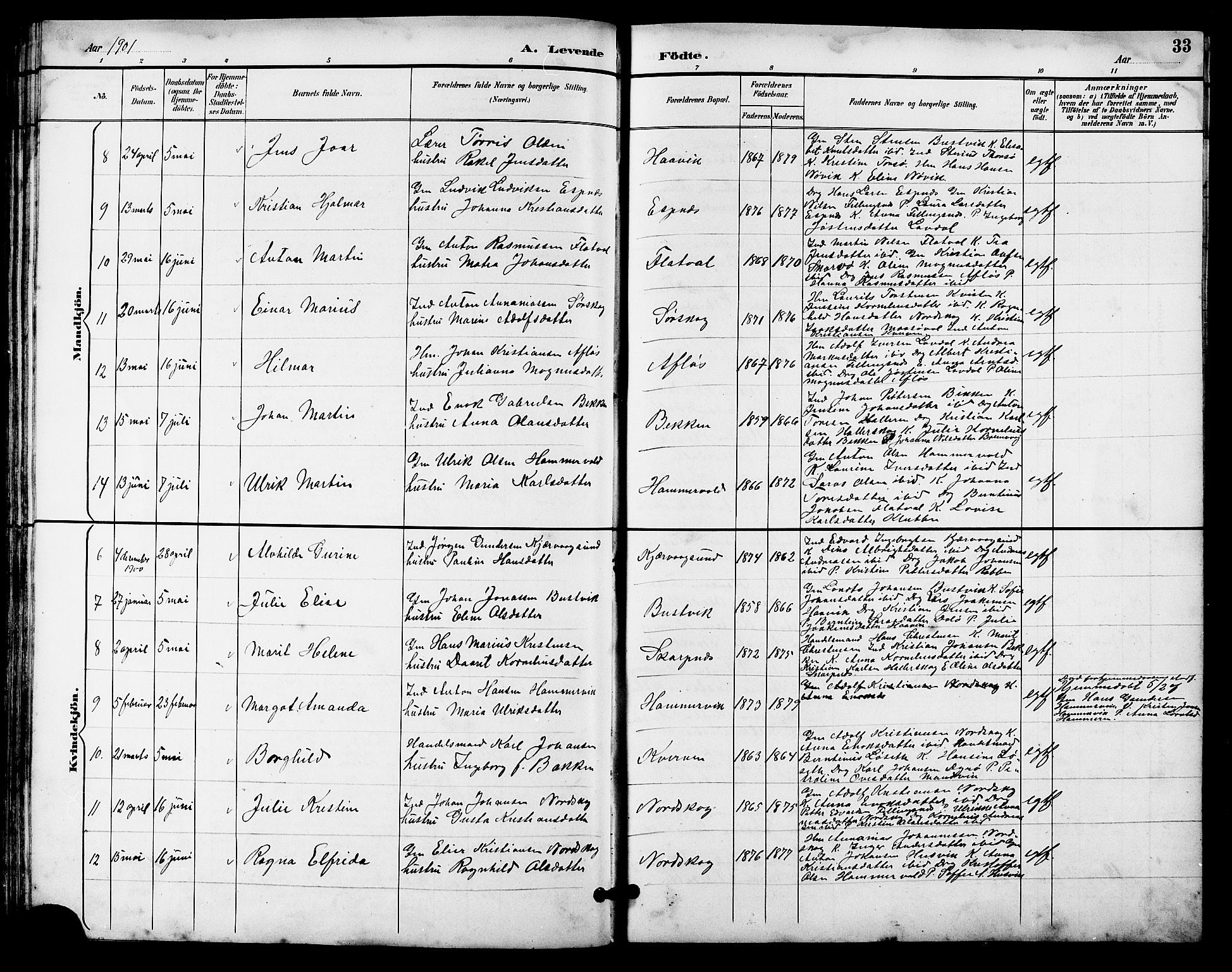 Ministerialprotokoller, klokkerbøker og fødselsregistre - Sør-Trøndelag, SAT/A-1456/641/L0598: Parish register (copy) no. 641C02, 1893-1910, p. 33