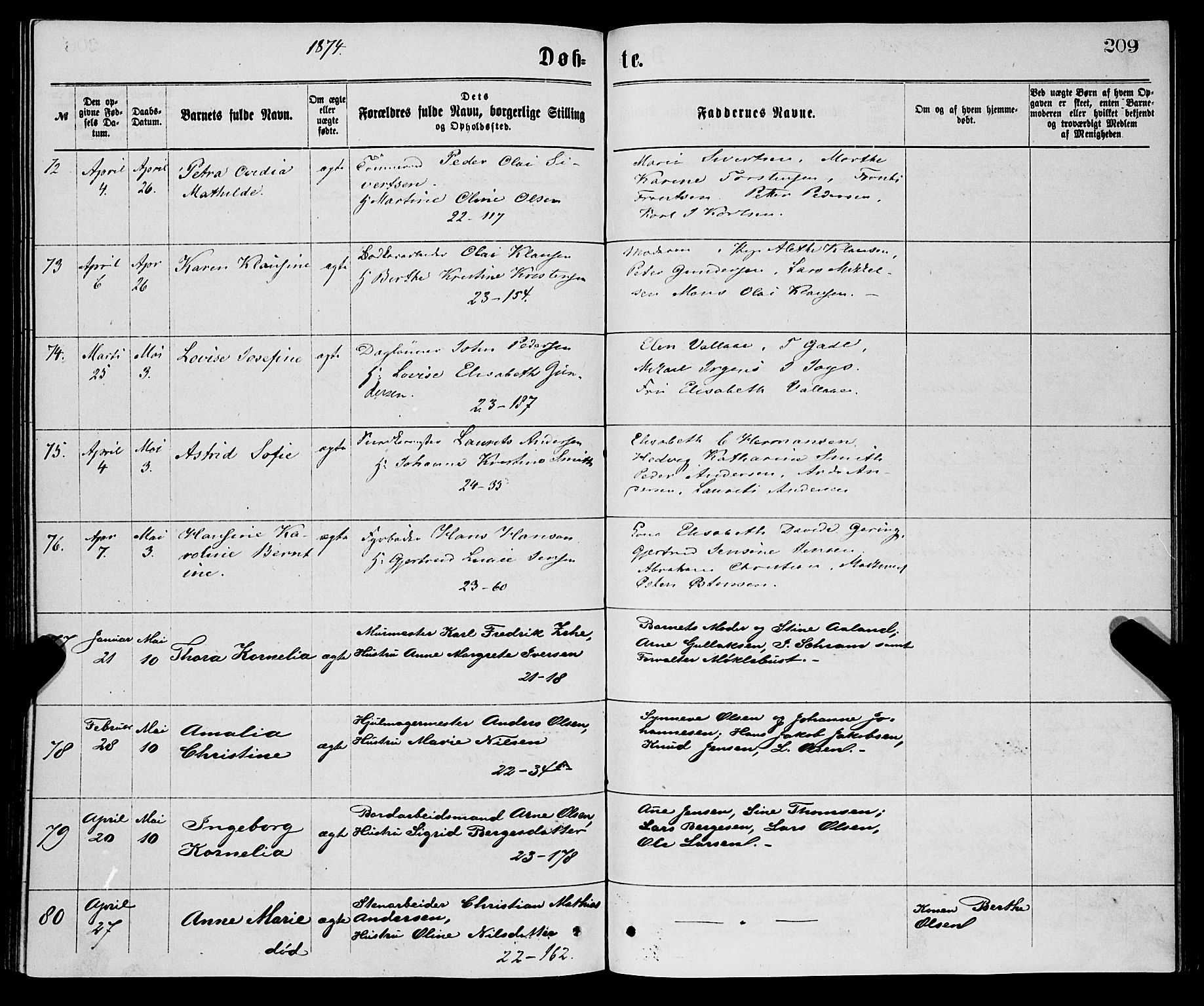 Korskirken sokneprestembete, AV/SAB-A-76101/H/Haa/L0020: Parish register (official) no. B 6, 1871-1878, p. 209