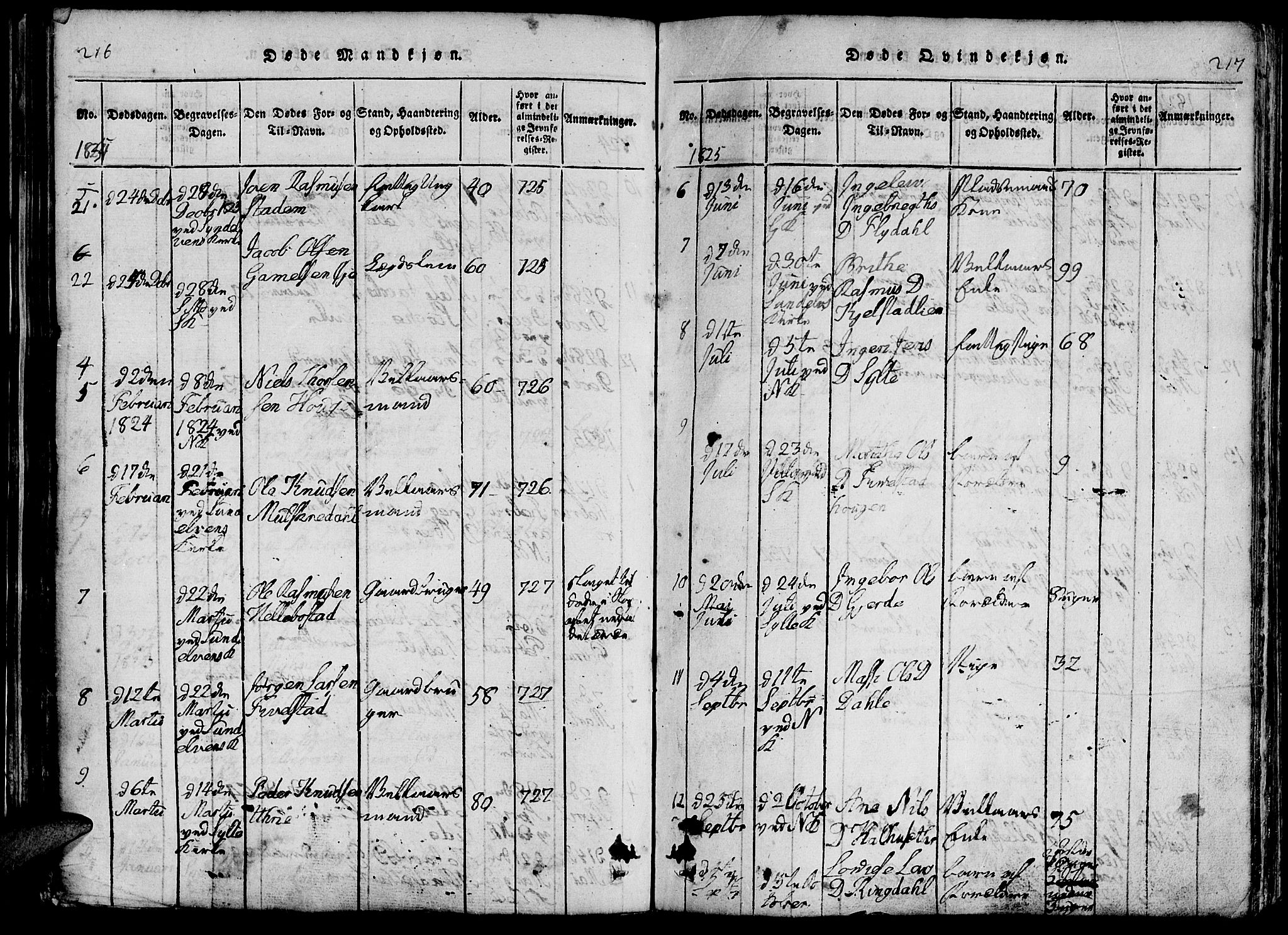 Ministerialprotokoller, klokkerbøker og fødselsregistre - Møre og Romsdal, AV/SAT-A-1454/519/L0260: Parish register (copy) no. 519C01, 1817-1829, p. 216-217