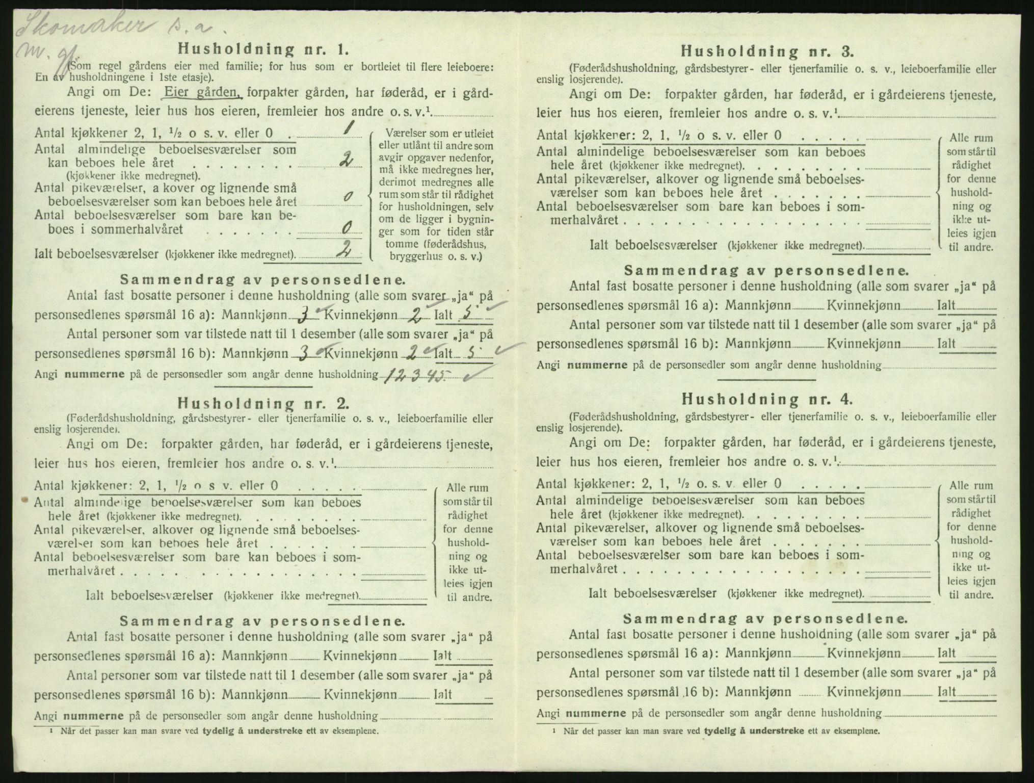 SAKO, 1920 census for Tjølling, 1920, p. 1066