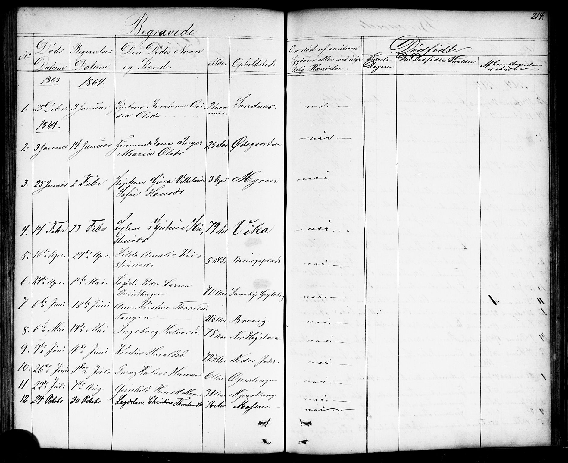 Enebakk prestekontor Kirkebøker, AV/SAO-A-10171c/G/Gb/L0001: Parish register (copy) no. II 1, 1859-1890, p. 214